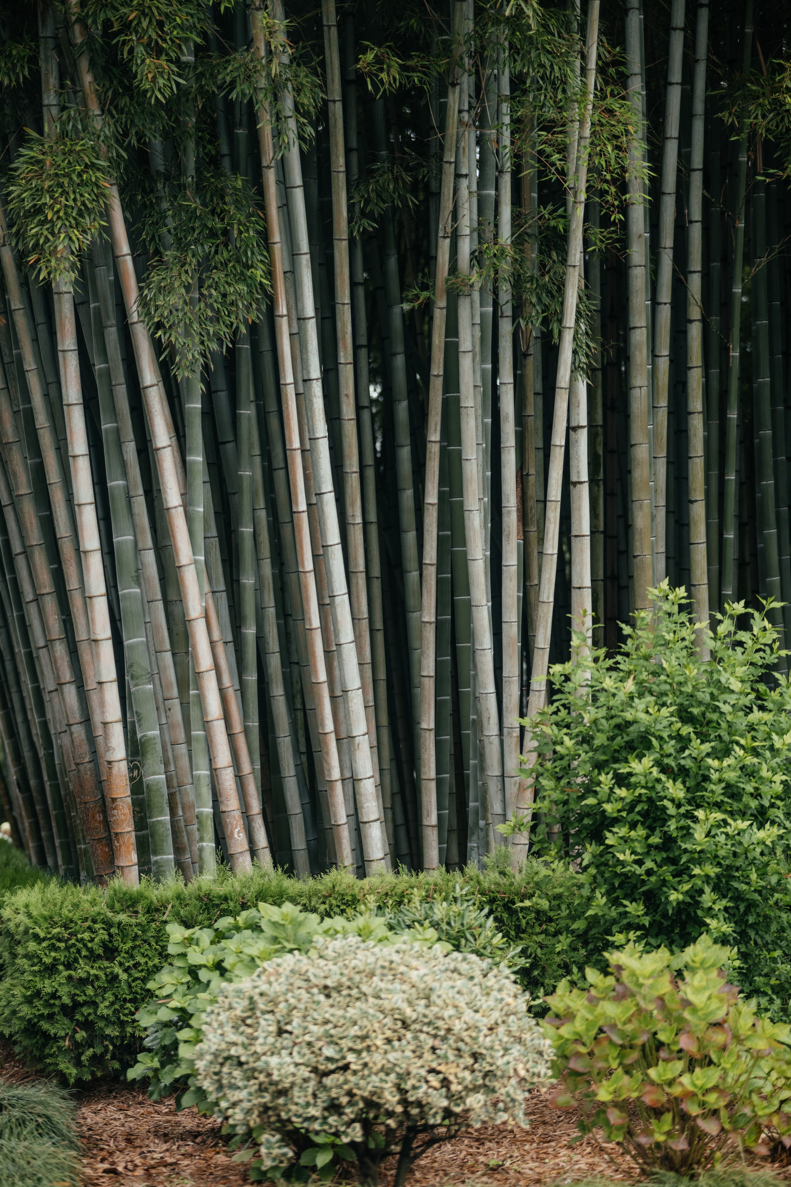 Анна. Свадебный и портретный фотограф в Минске и РБ Владислав Саков
