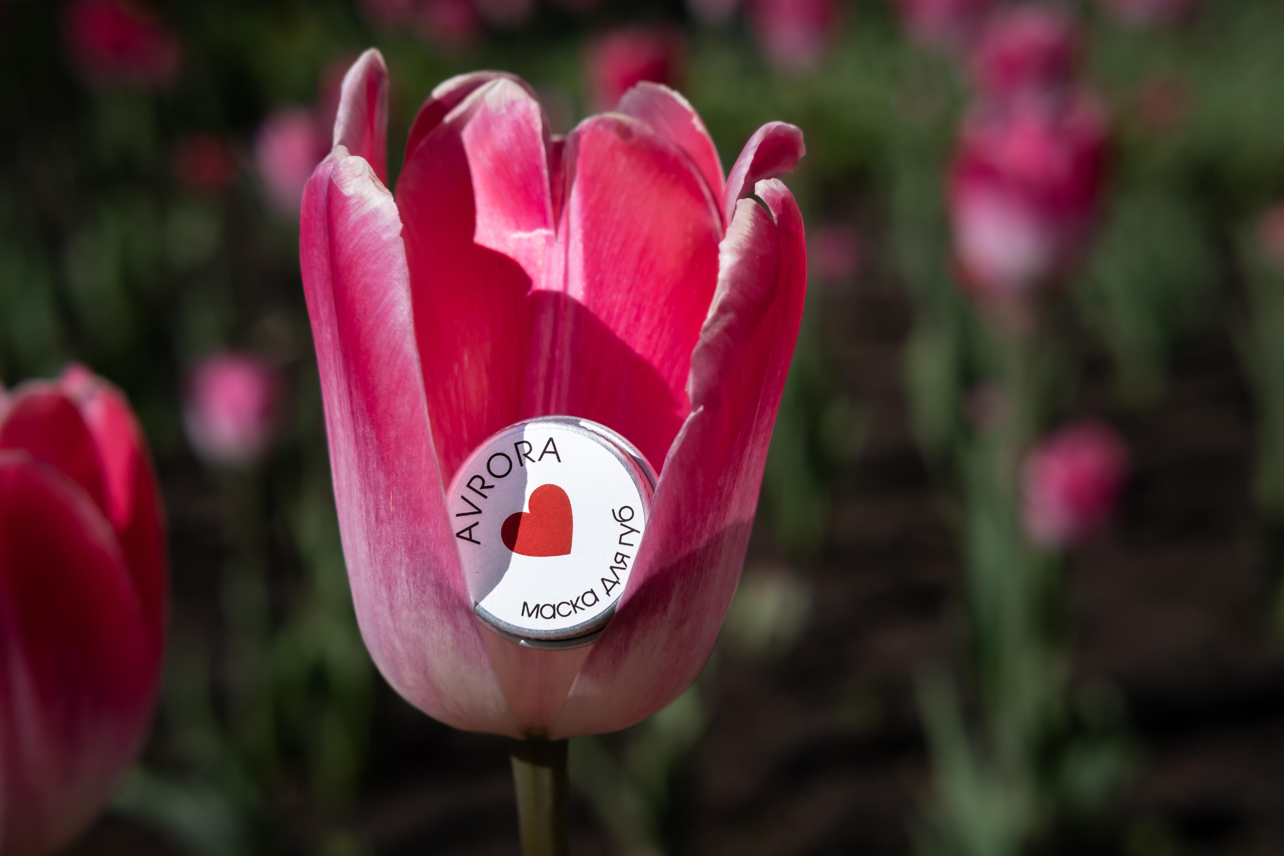 Контент. Фотографы Дарья и Дмитрий Арсентьевы