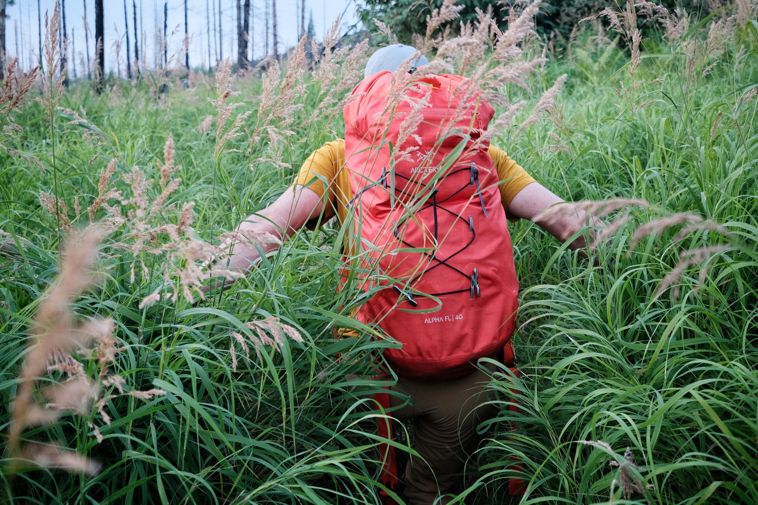 Контент. Фотографы Дарья и Дмитрий Арсентьевы