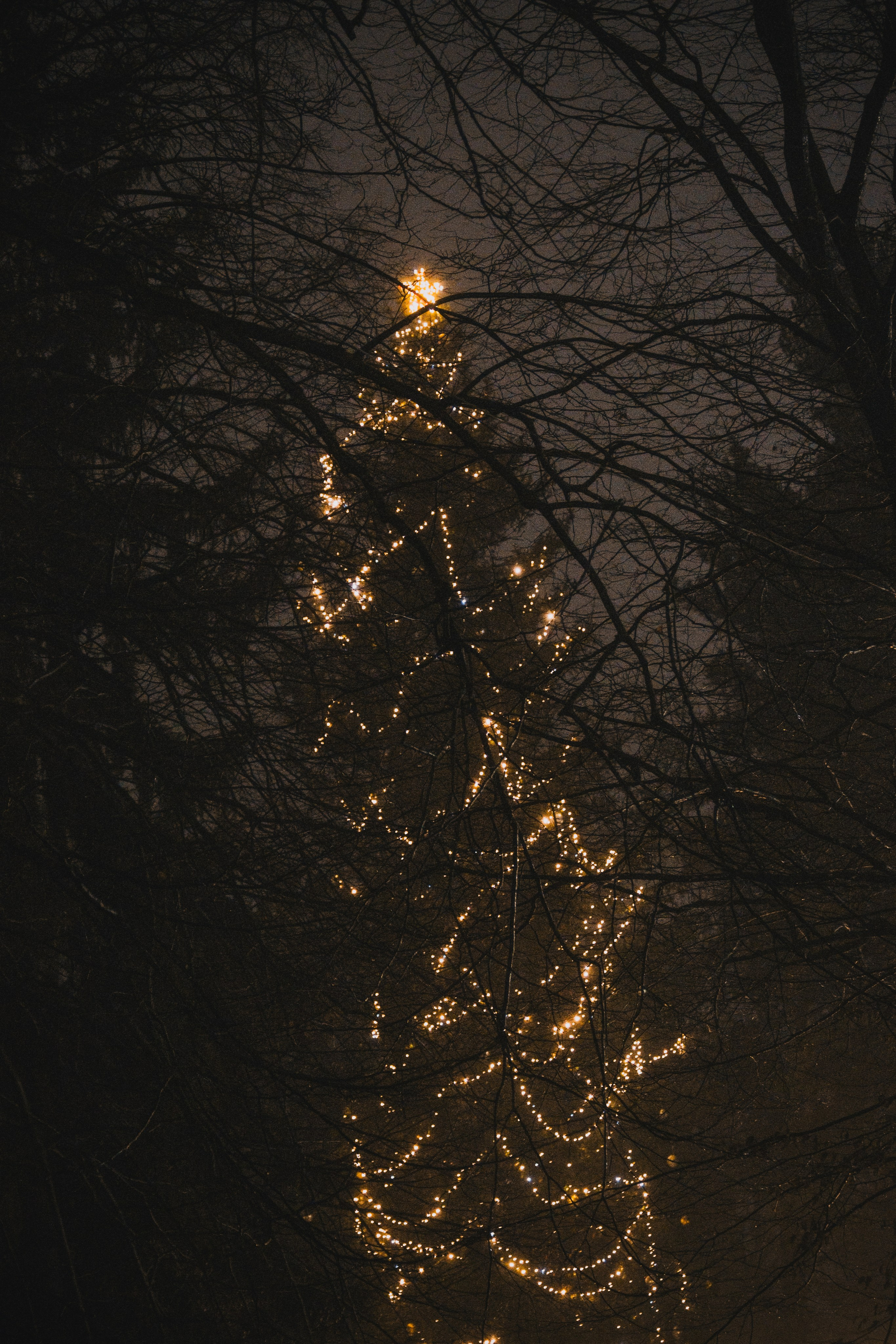 Н О Ч Н Ы Е. — Digital Noise —