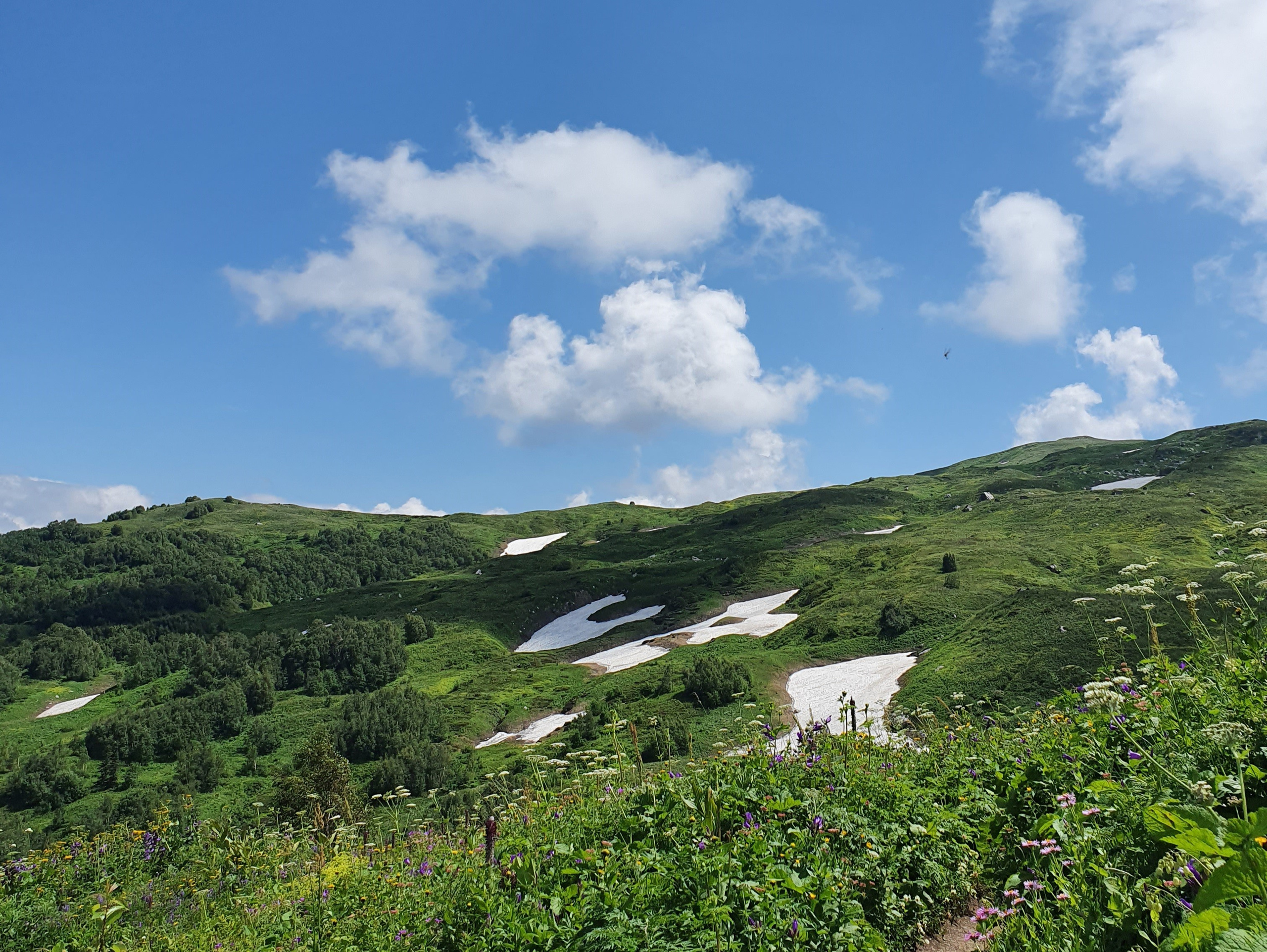 ФИШТ — ОШТЕН. Любовь Моргасова [LU SPRING]: Фотограф и куратор