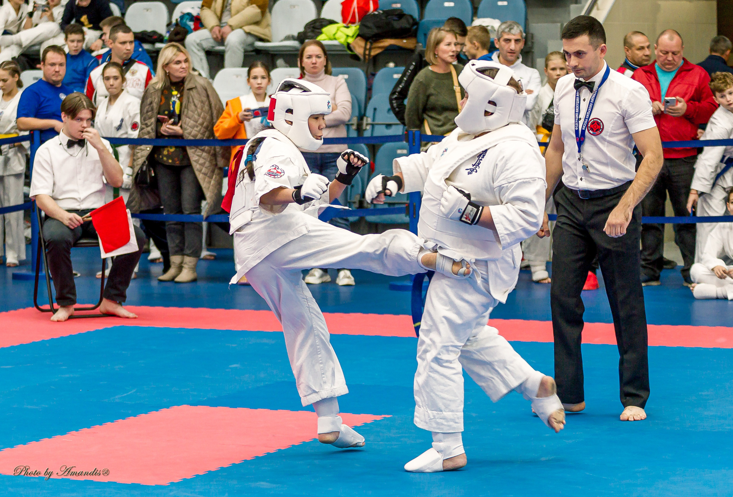 Чемпионат по Киокушинкай Центрального Федерального округа. Репортажная съемка в Москве и области. Анималистика
