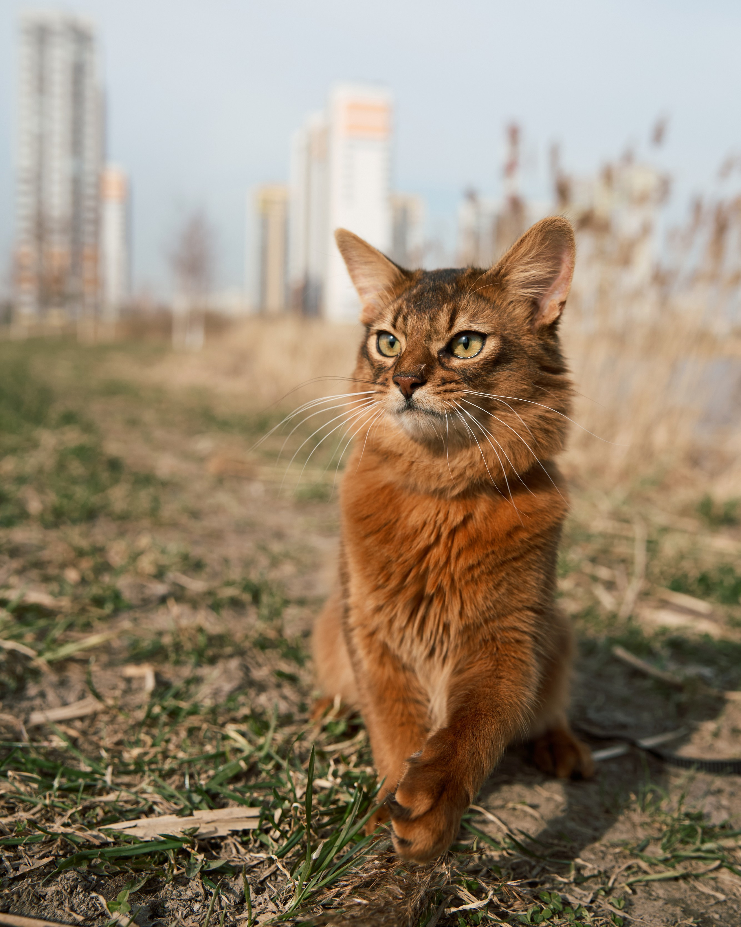 Rufus. Творческий фотограф в Санкт-Петербурге — Никита Шохенмайер