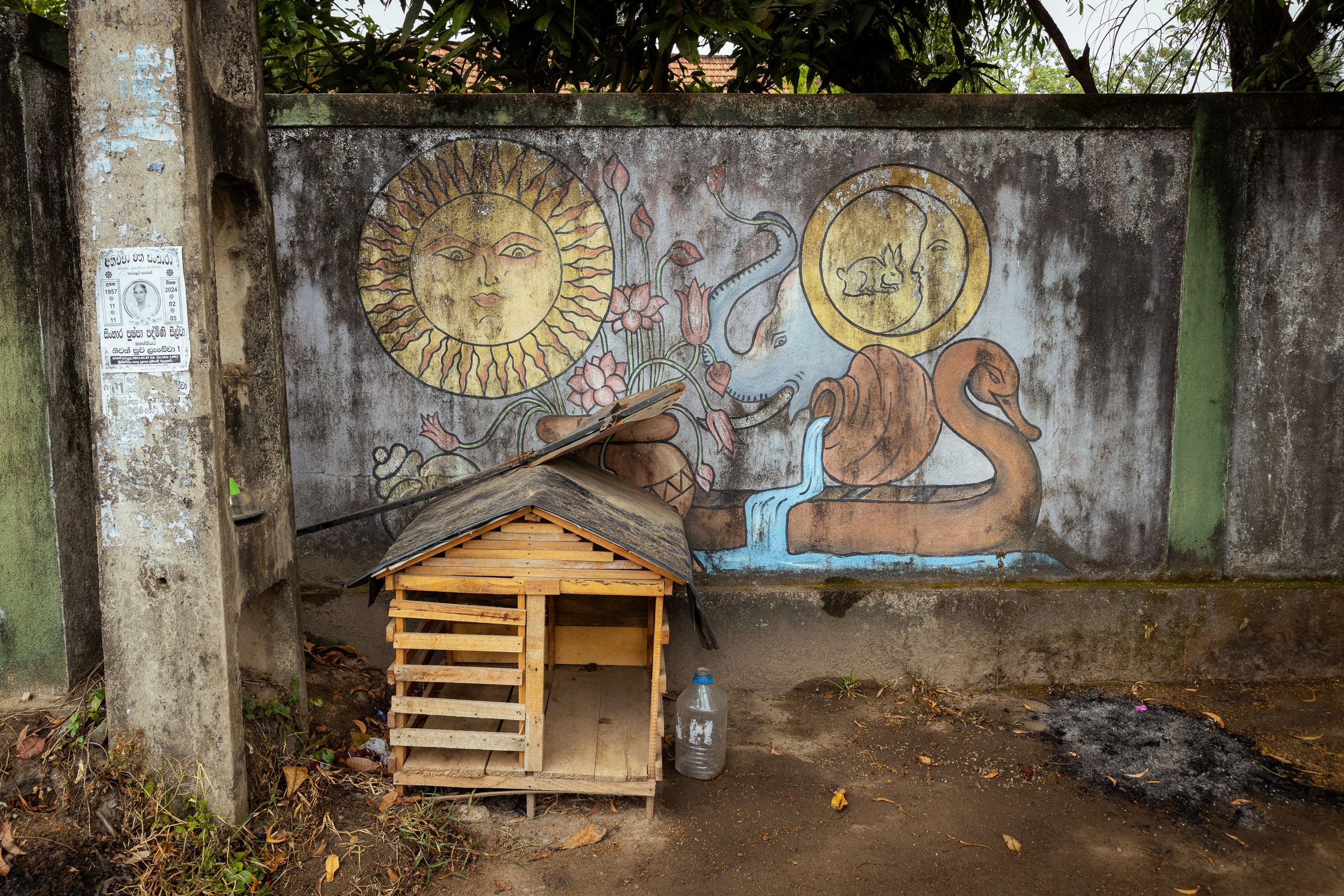 Шри-Ланка (весна 2024). Фотограф Виноградов Константин