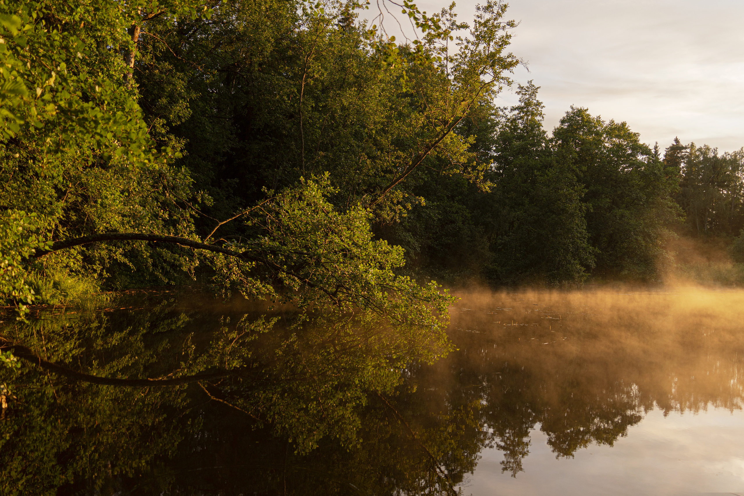 Выборг и окресности. Алексей Туренков — фото, видео, дизайн
