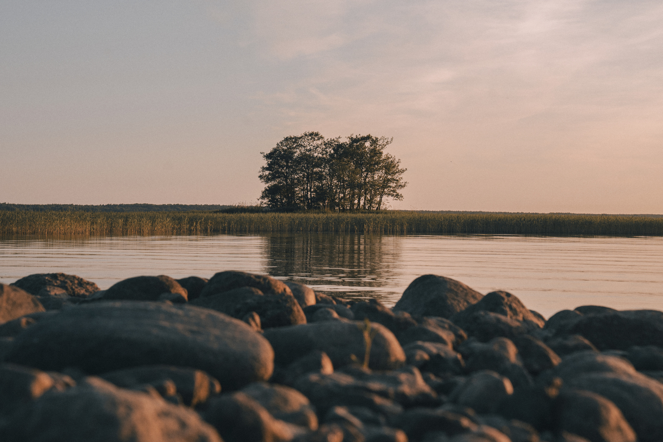 Выборг и окресности. Алексей Туренков — фото, видео, дизайн