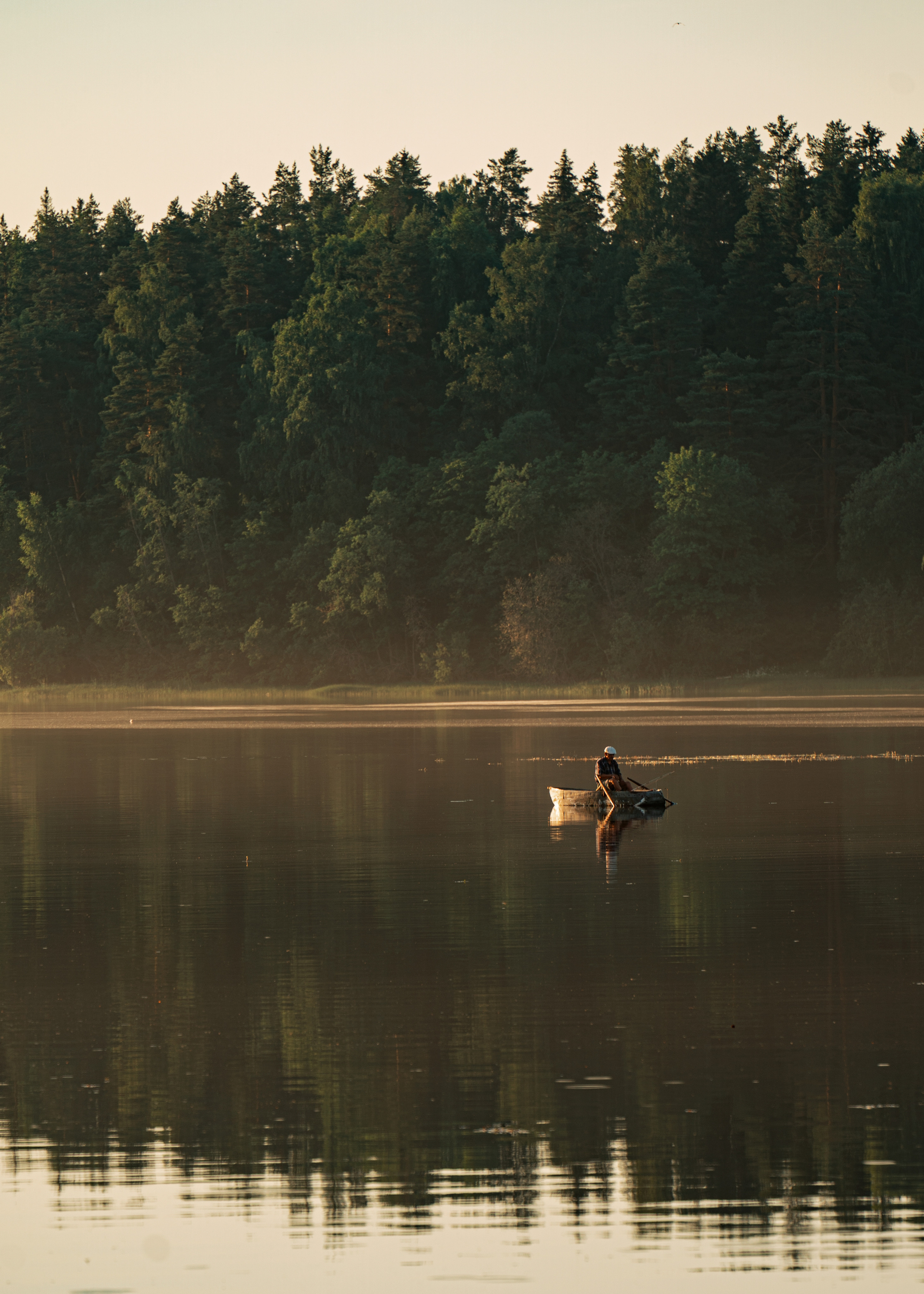 Выборг и окресности. Алексей Туренков — фото, видео, дизайн