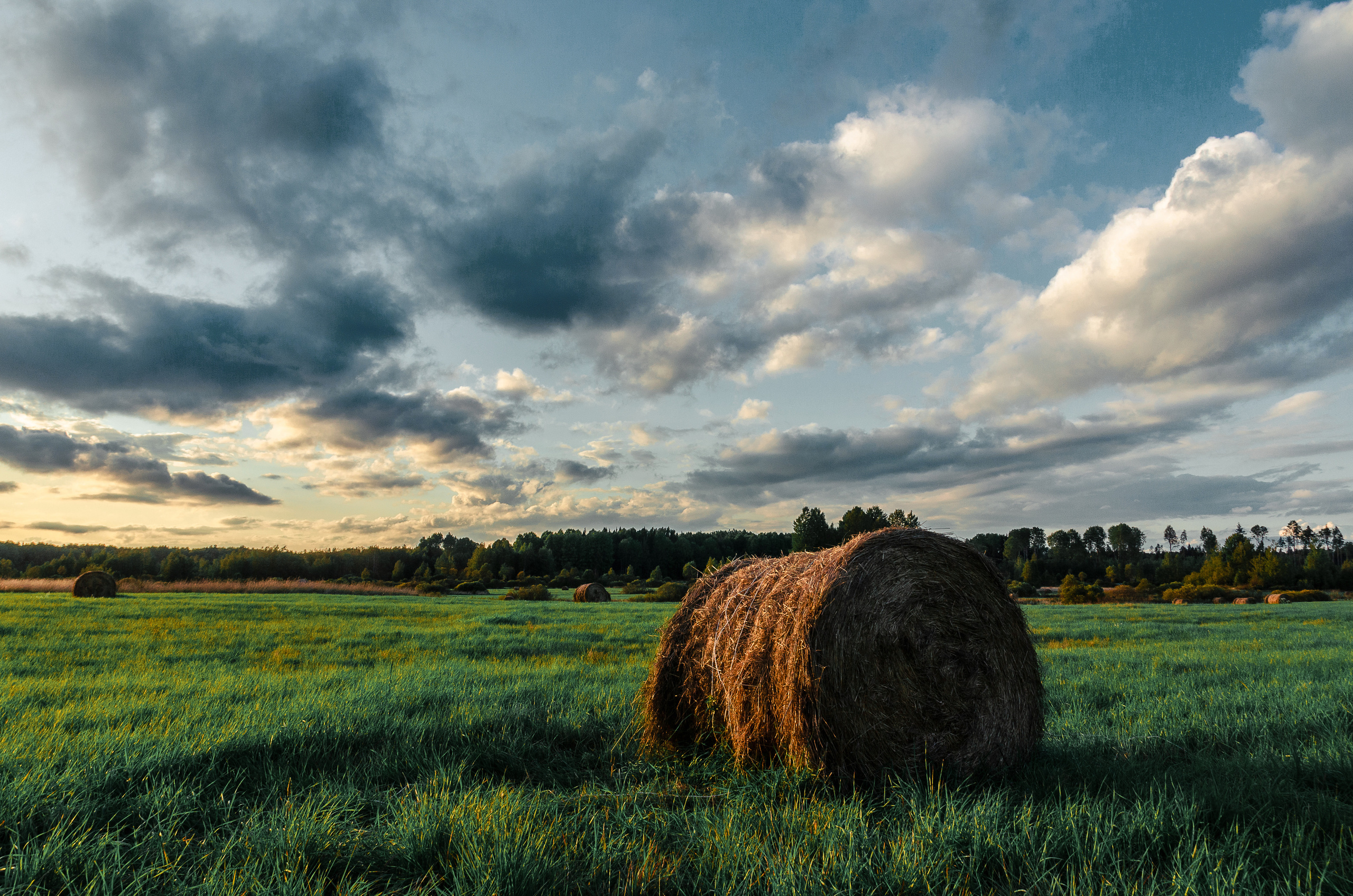 Выборг и окресности. Алексей Туренков — фото, видео, дизайн