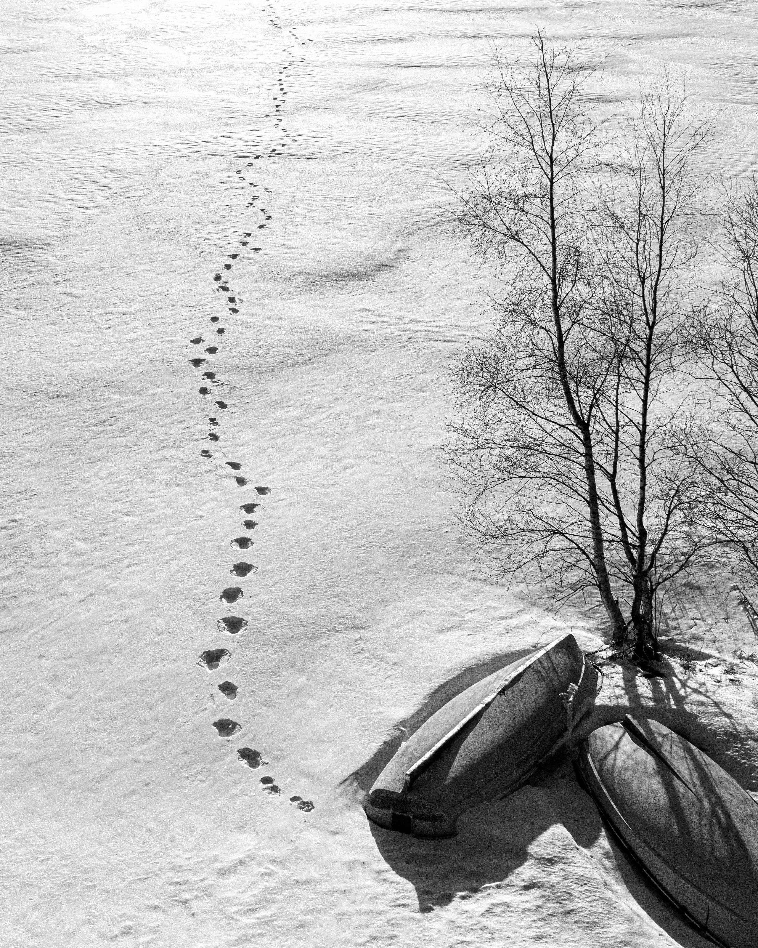 Выборг и окресности. Алексей Туренков — фото, видео, дизайн