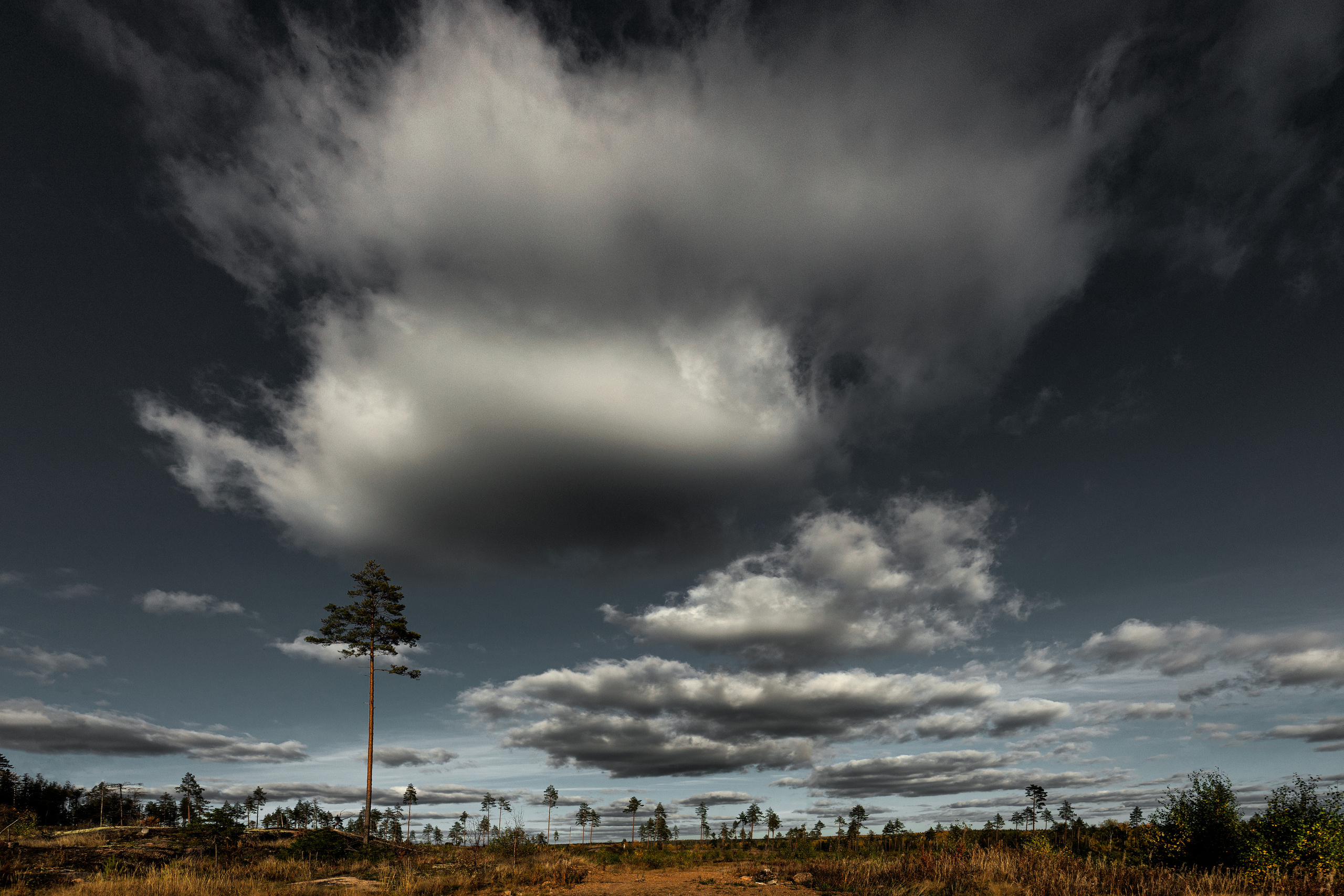 Выборг и окресности. Алексей Туренков — фото, видео, дизайн