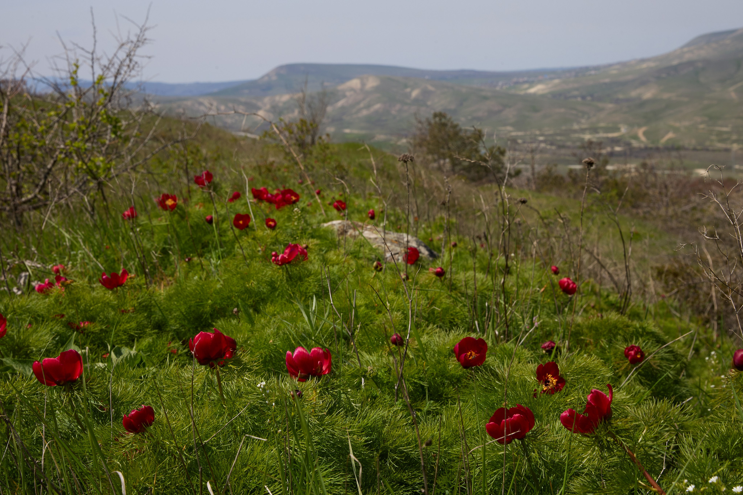 КРЫМ. Репортажный и мужской фотограф в Краснодаре. Фотограф в Краснодаре