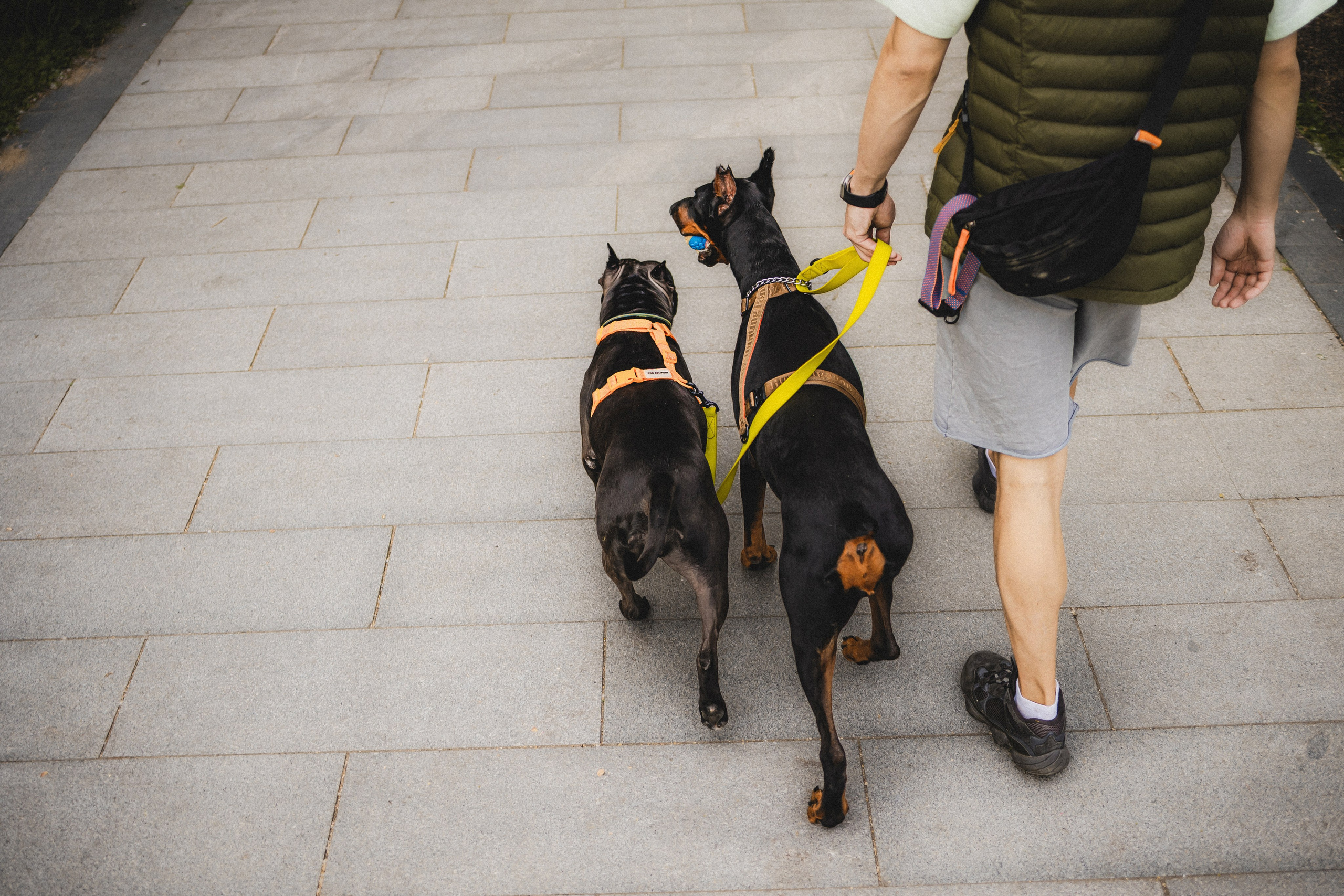 Паша, Хайди и Тея