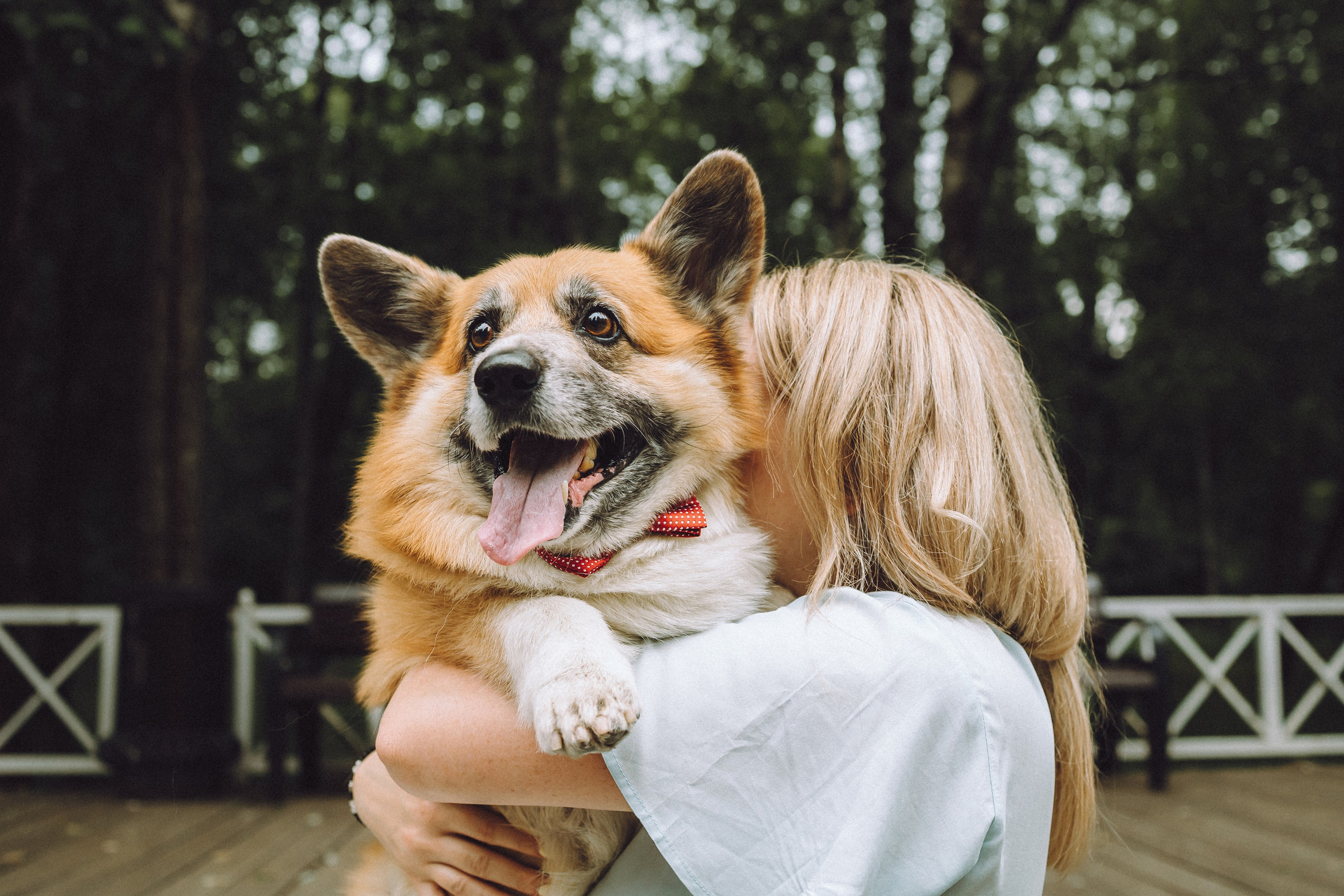 Ира, Леша и Харли