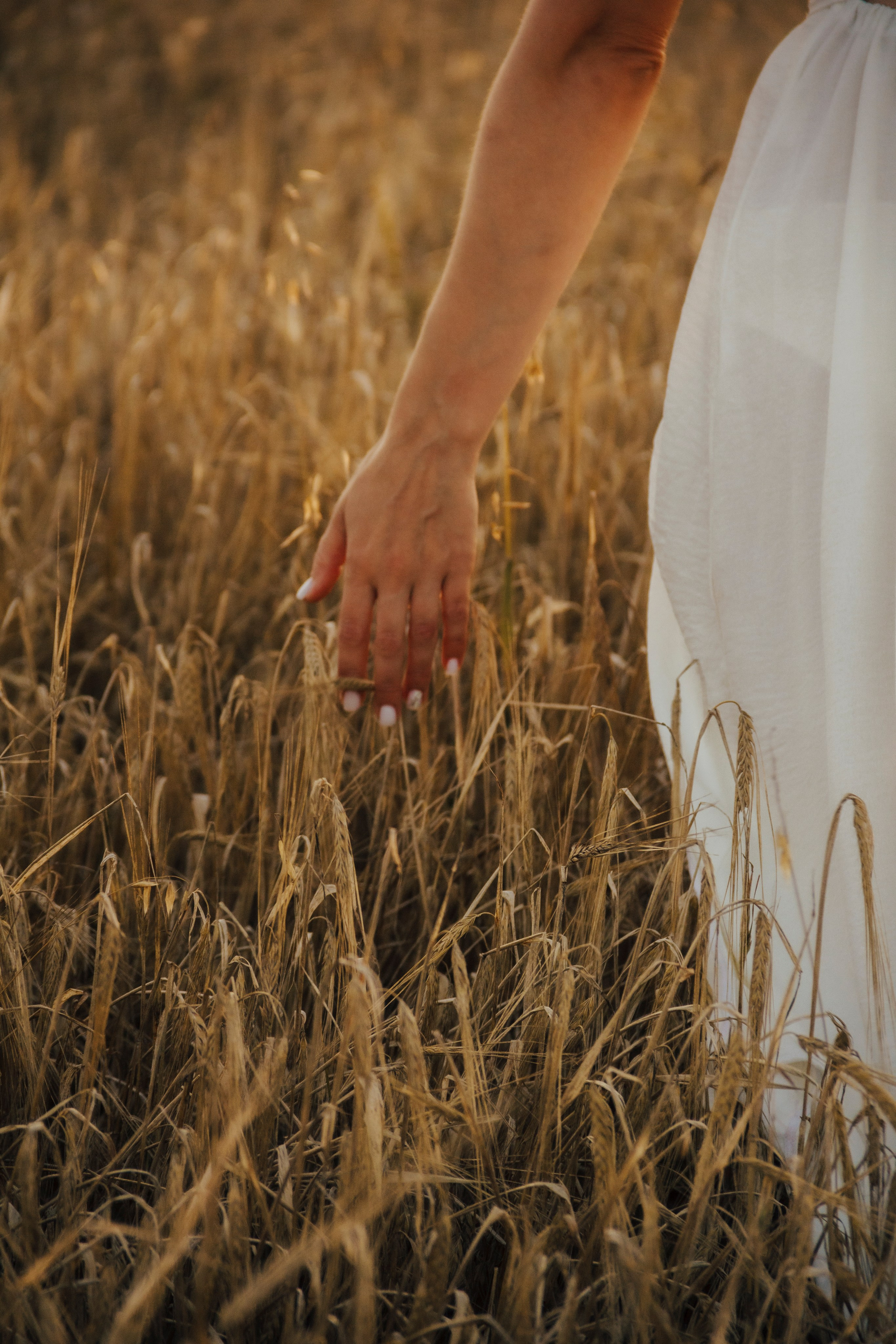 Семейная прогулка. ProFoto