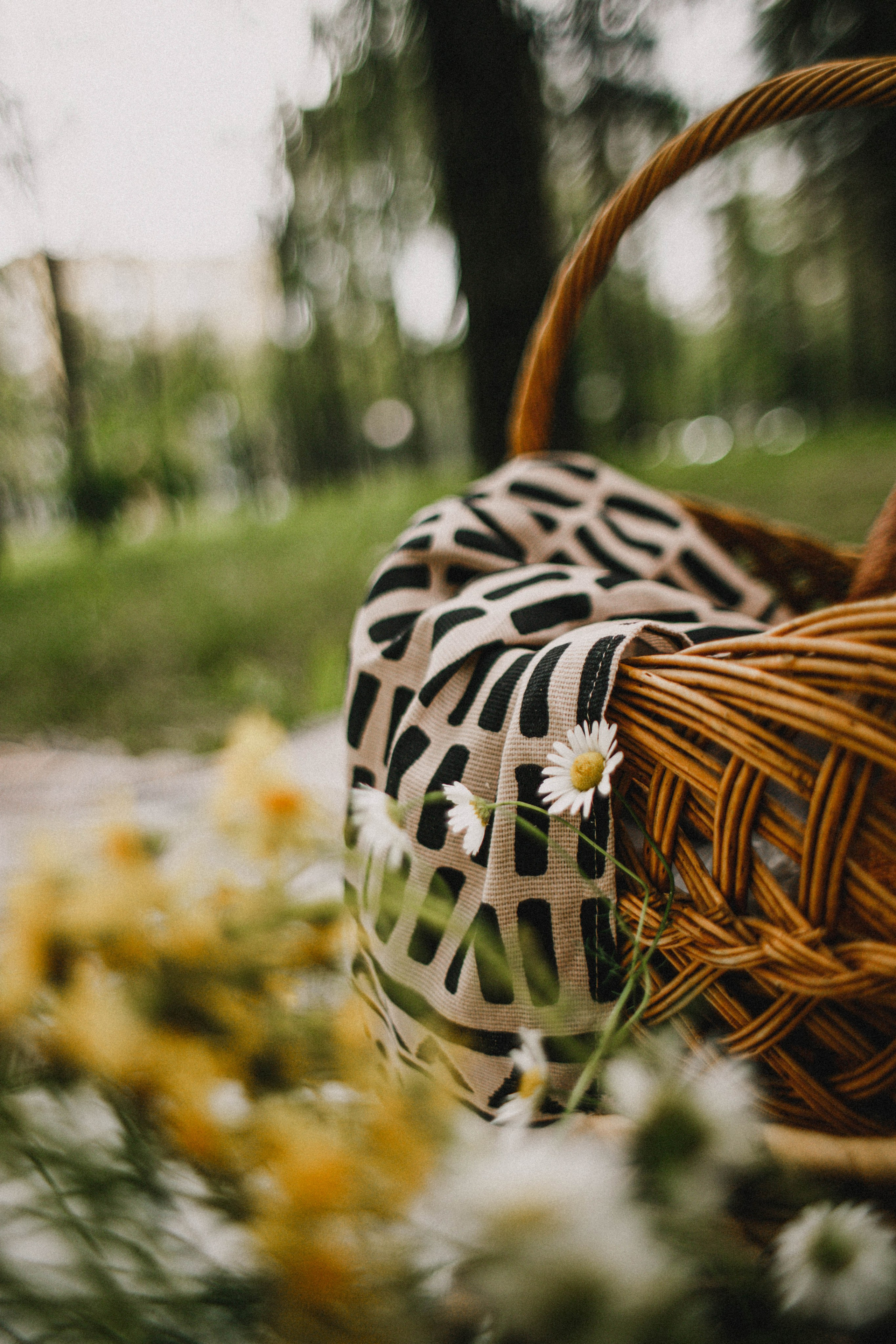 Пикник. Парк Швейцария. Фотограф в Нижнем Новгороде