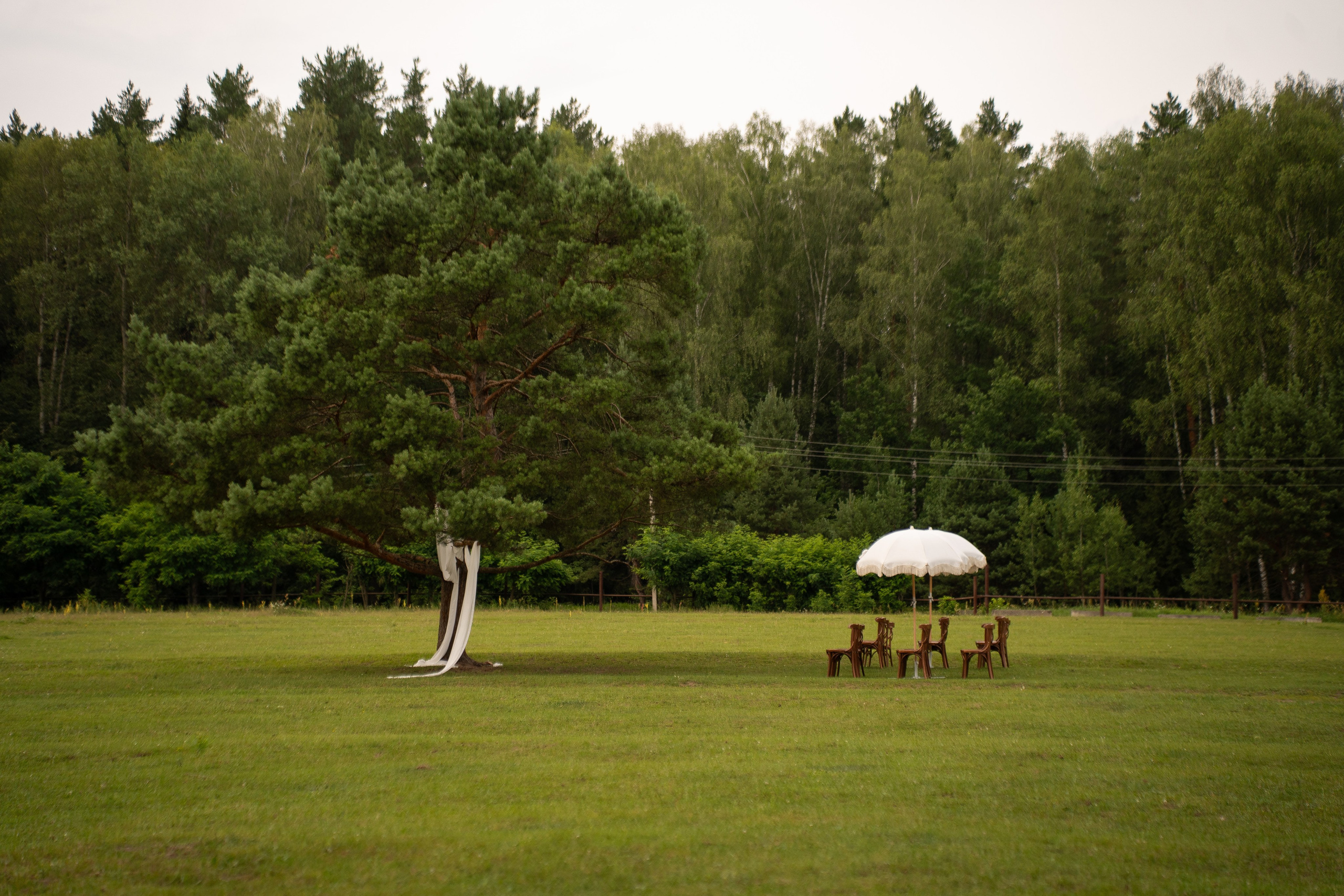Таисия & Артур. Свадебный фотограф