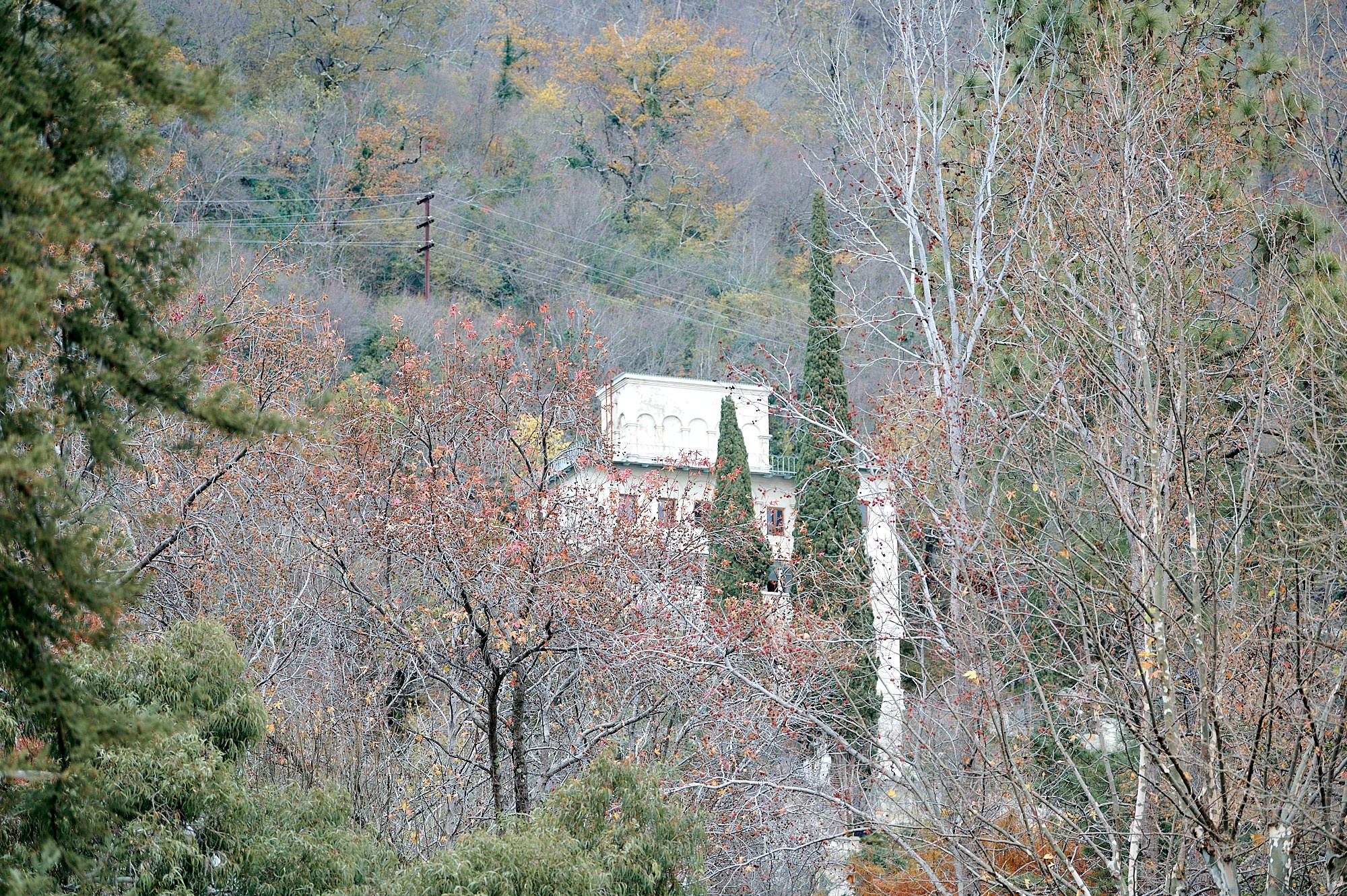 Гагра, Абхазия. Декабрь 2024. Фотографии отовсюду и обо всем