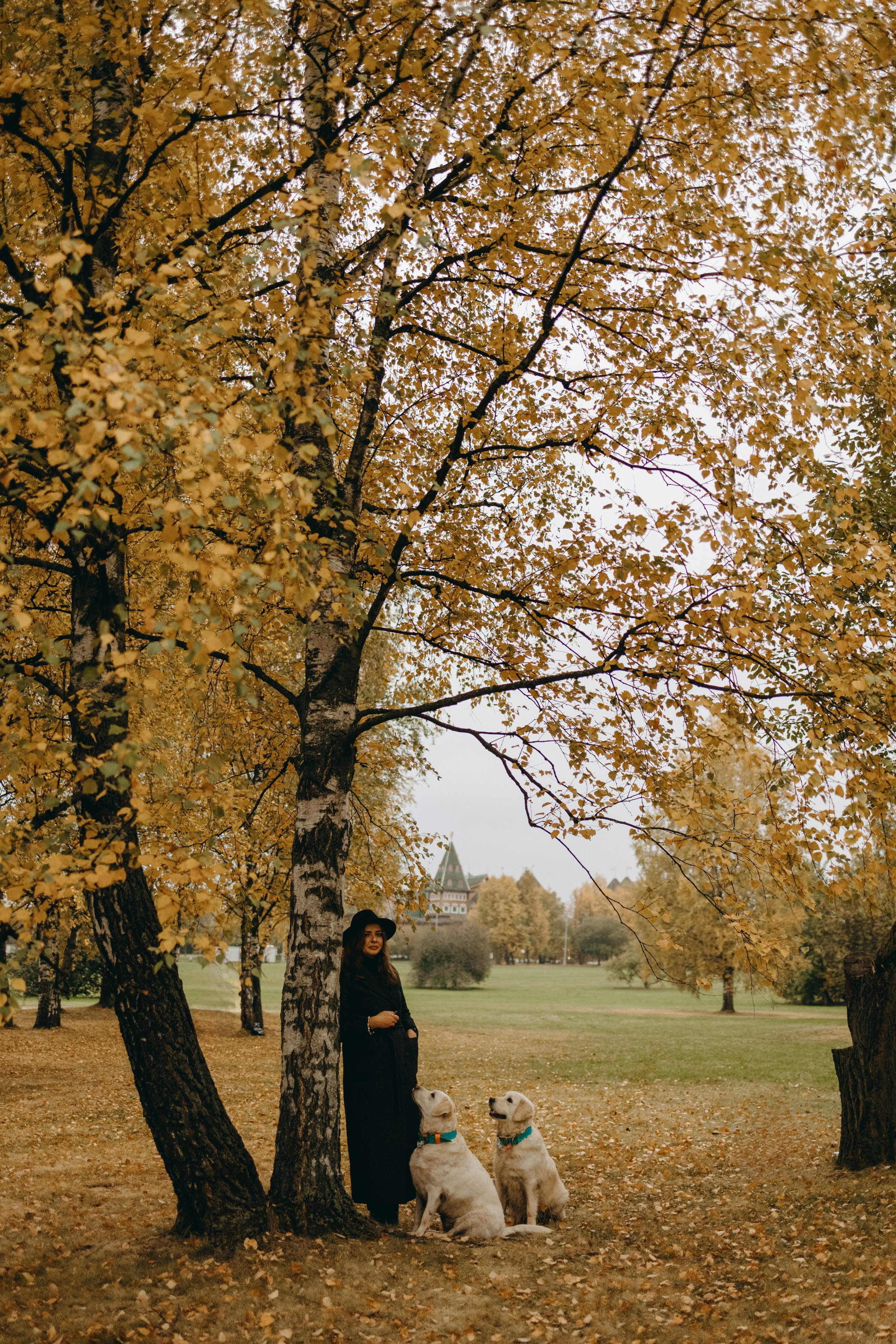 Женя и ее девочки. Фотограф — Анималист | Санкт-Петербург