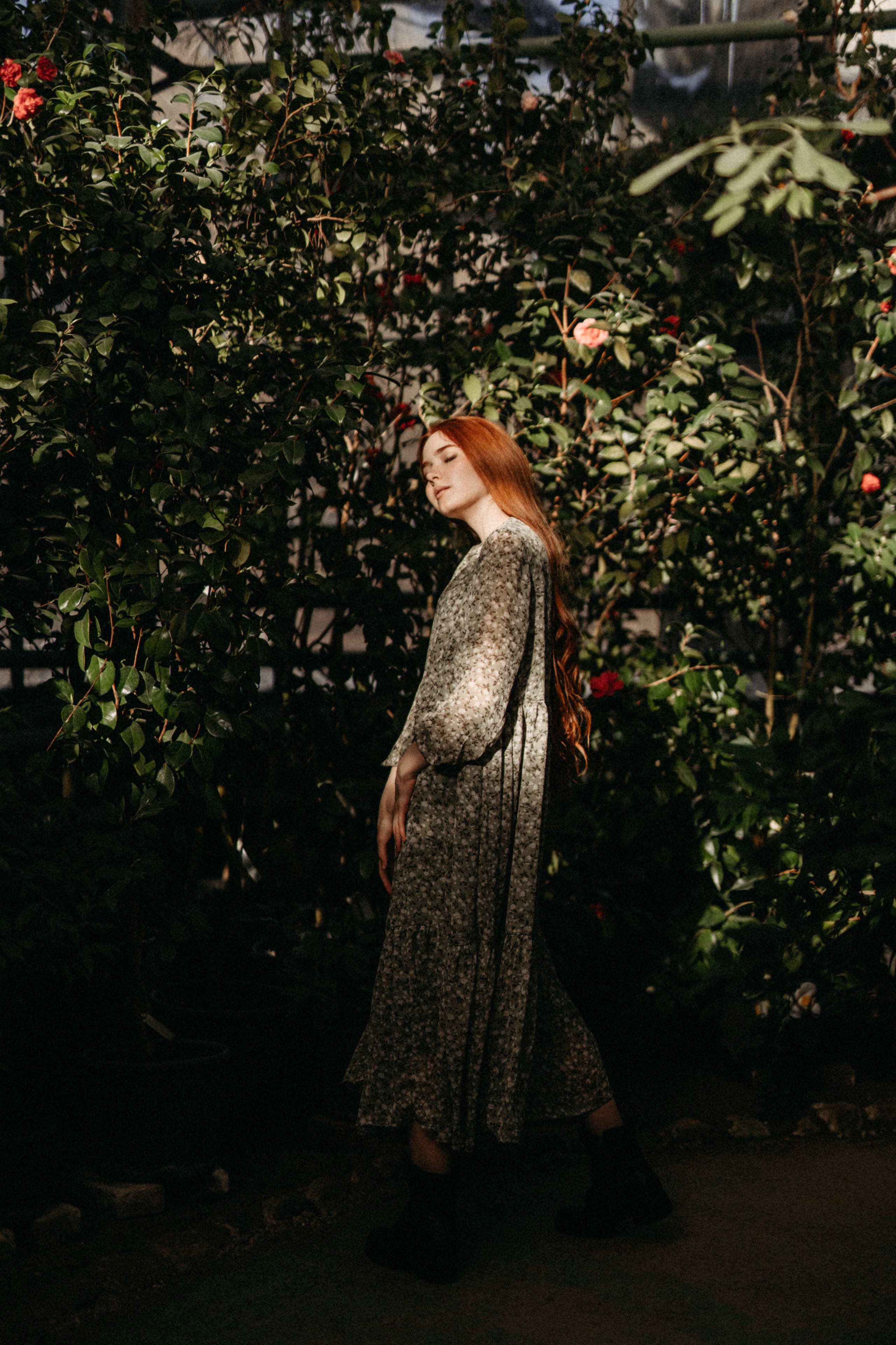 Там, где круглый год весна. Фотограф Наталья Колганова