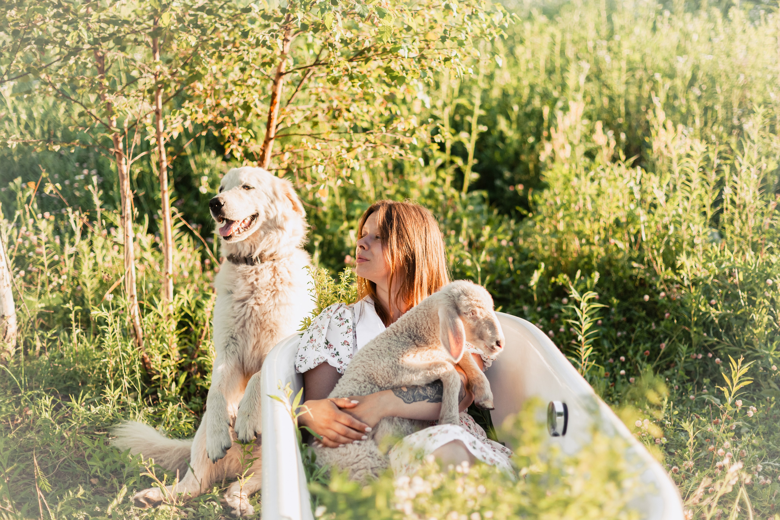 Ванна в поле. Фотограф-анималист Татьяна Степанова