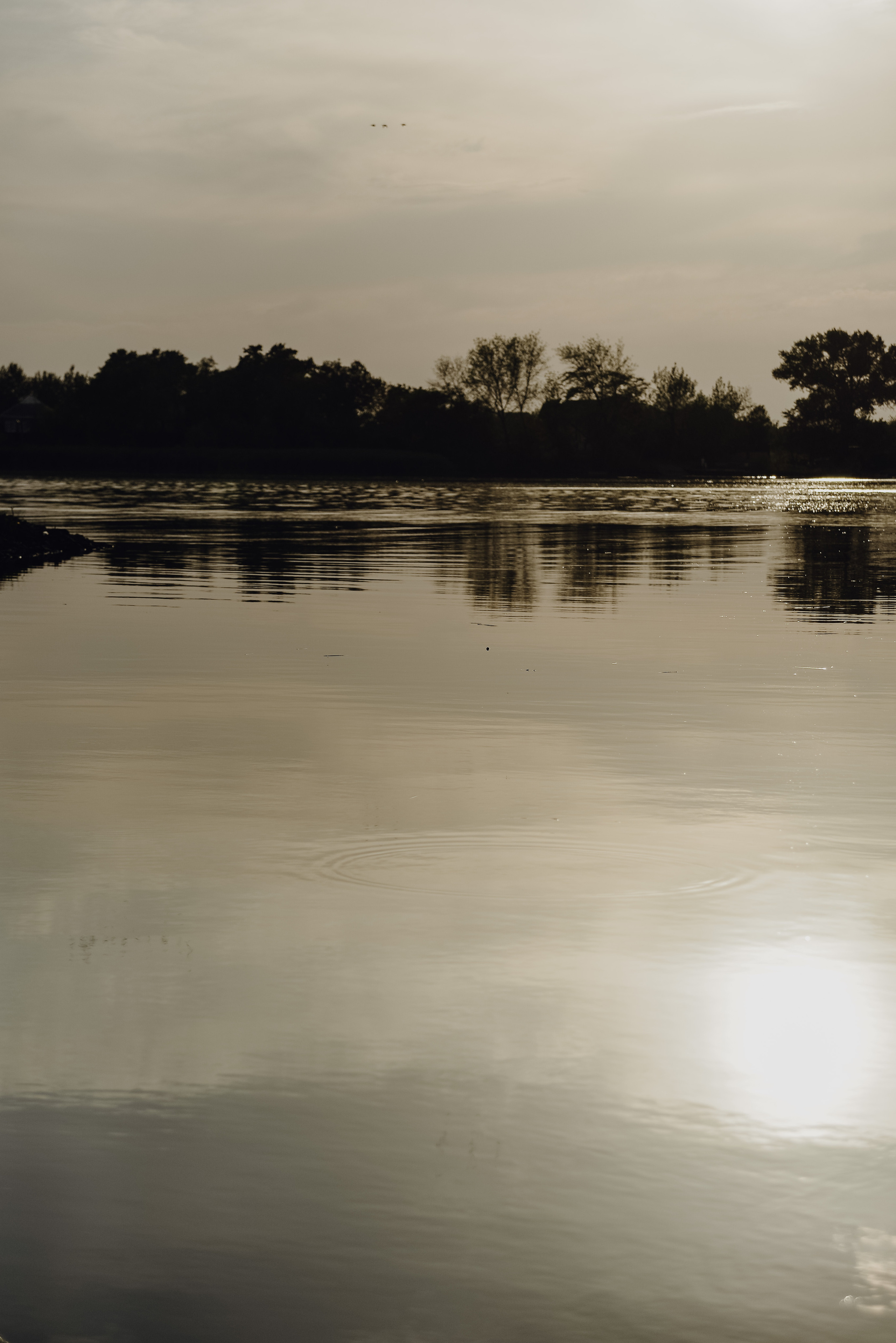 Любовь — это танец. Свадебный фотограф Питер СПБ Индивидуальные, парные, свадебные съёмки