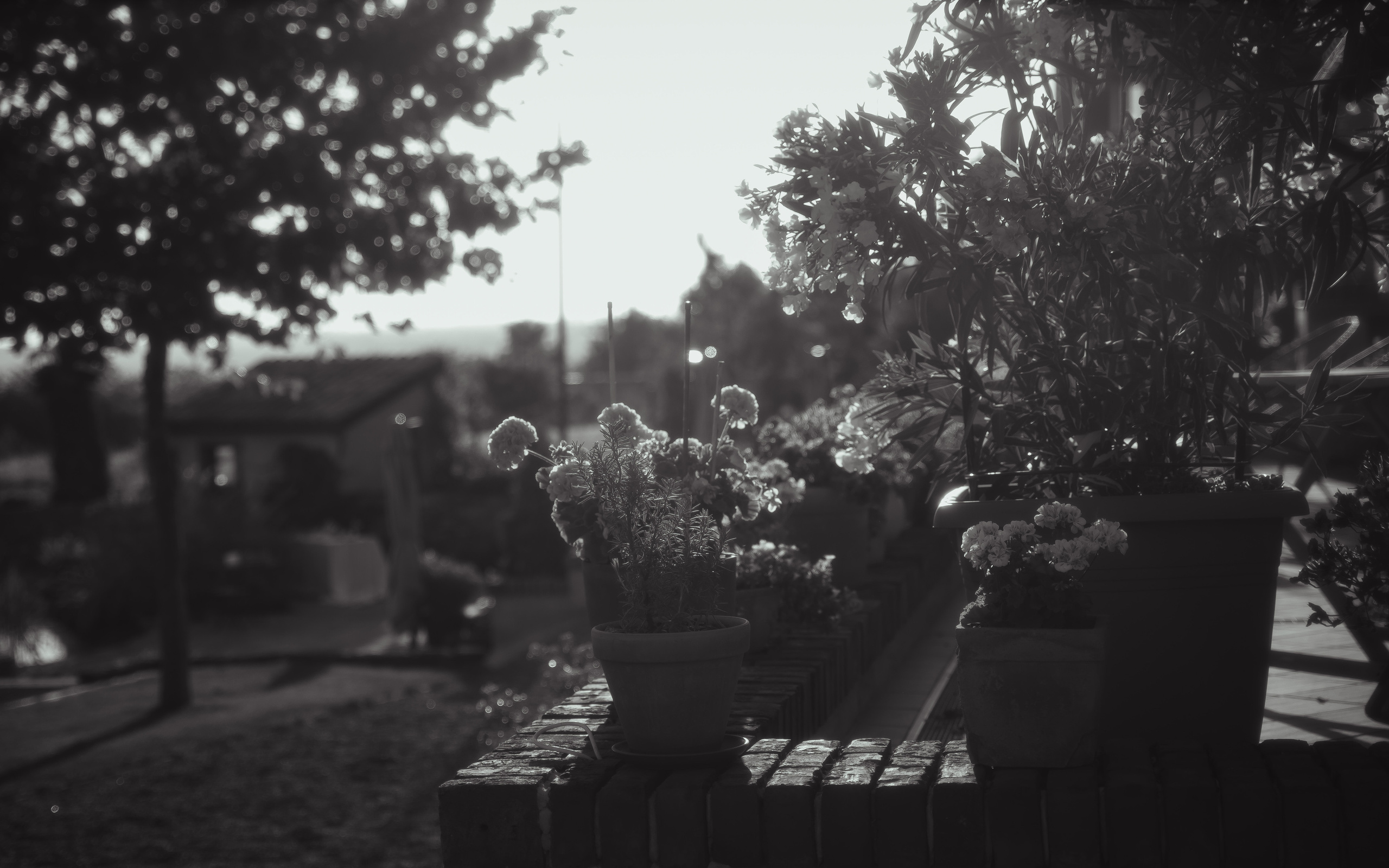 Света | Слава. Свадебный фотограф Питер СПБ Индивидуальные, парные, свадебные съёмки