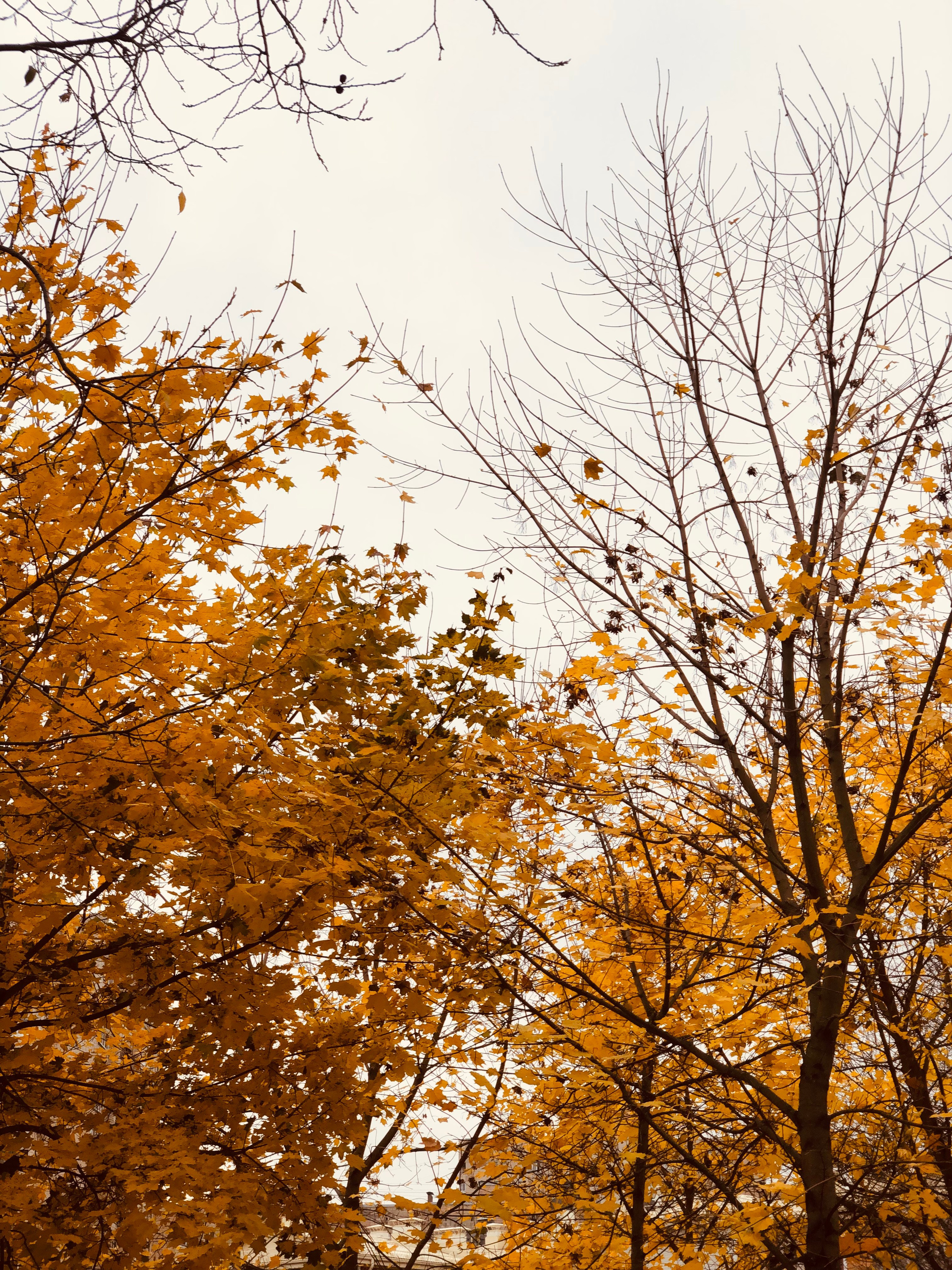 Ноябрь. Семейный, Свадебный фотограф СПБ Питер— Романова Екатерина