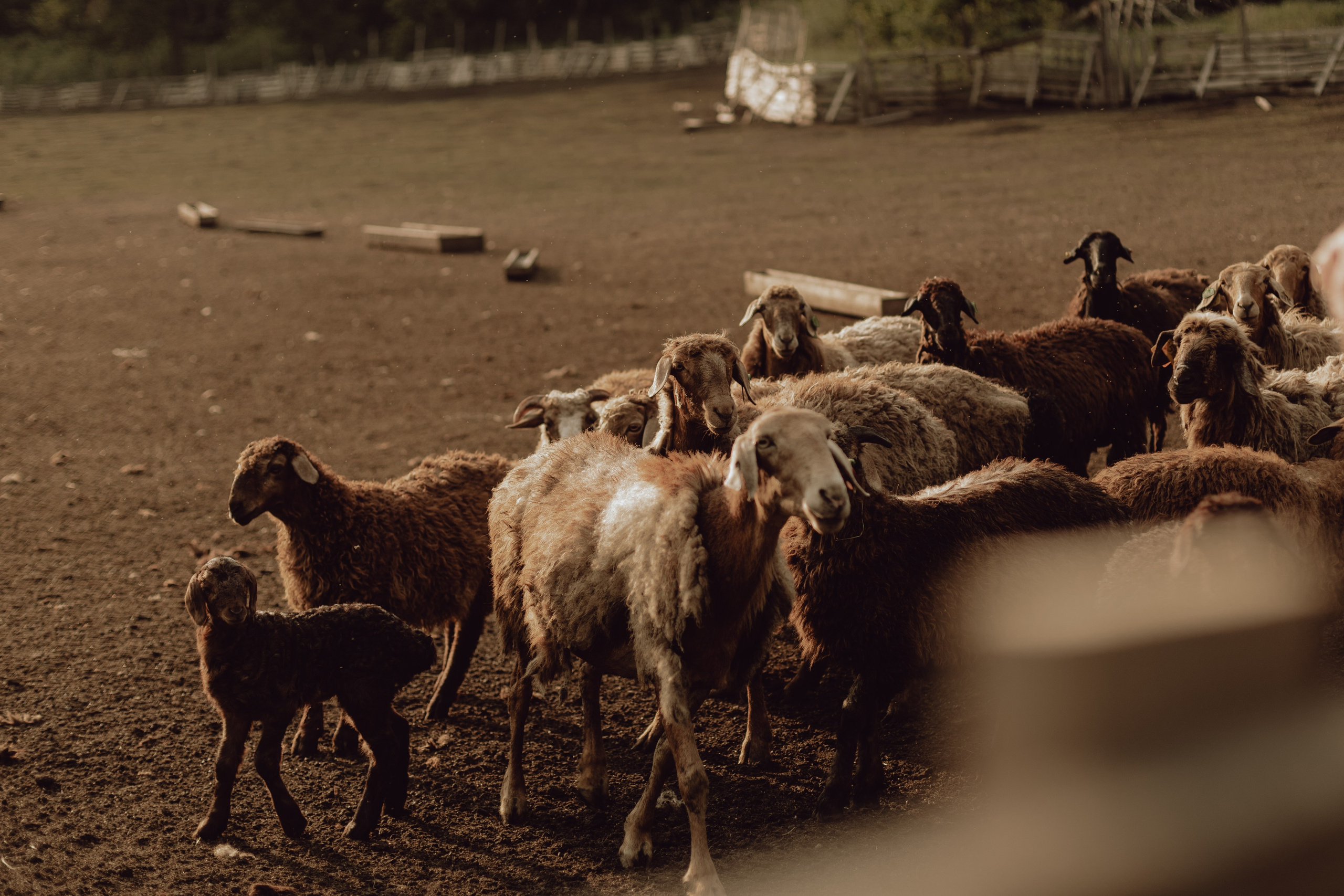 Наташа. Главная