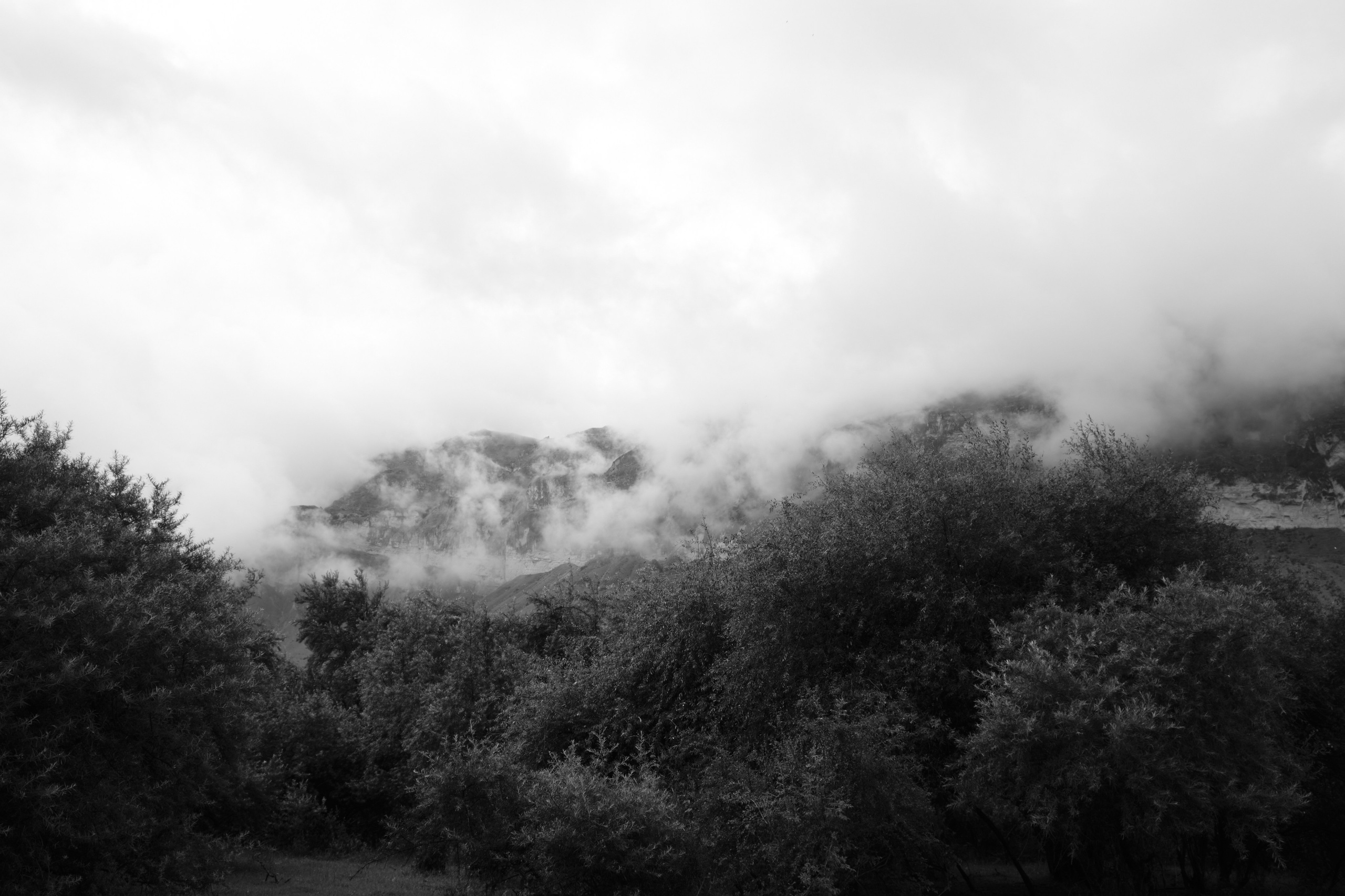 работы фотографа, сотрудничество галерей с фотографами