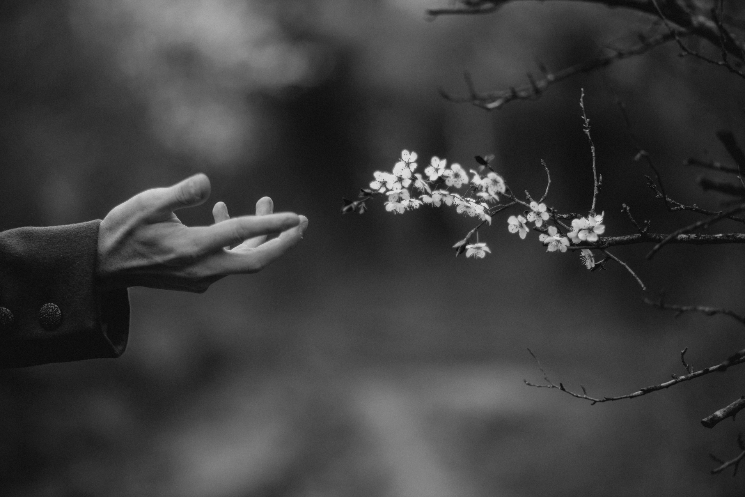 Фотосессии в Архипо-Осиповке — фотограф Оля Волчкова