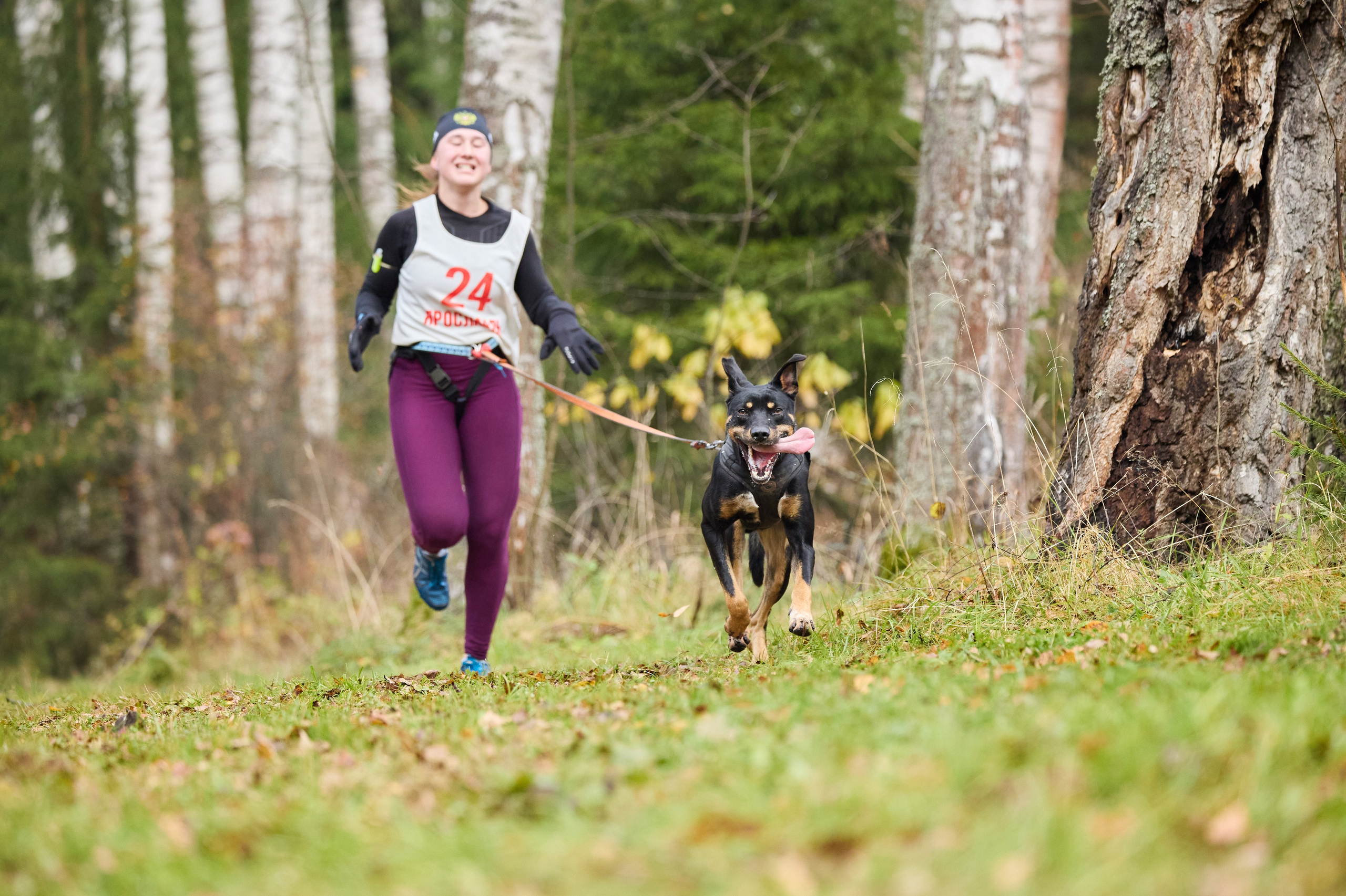 Чемпионат по ЕС Ярославской области. Фотограф Ирина Астор