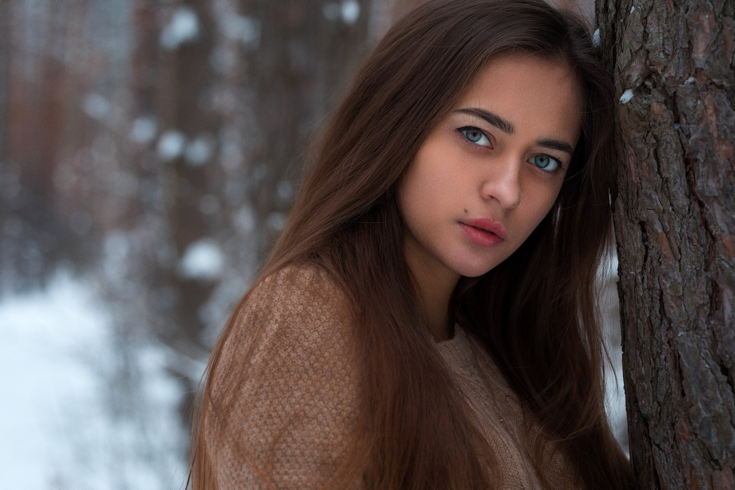 Зимняя съемка в лесу с доберманом с Ольгой в формате для «себя»