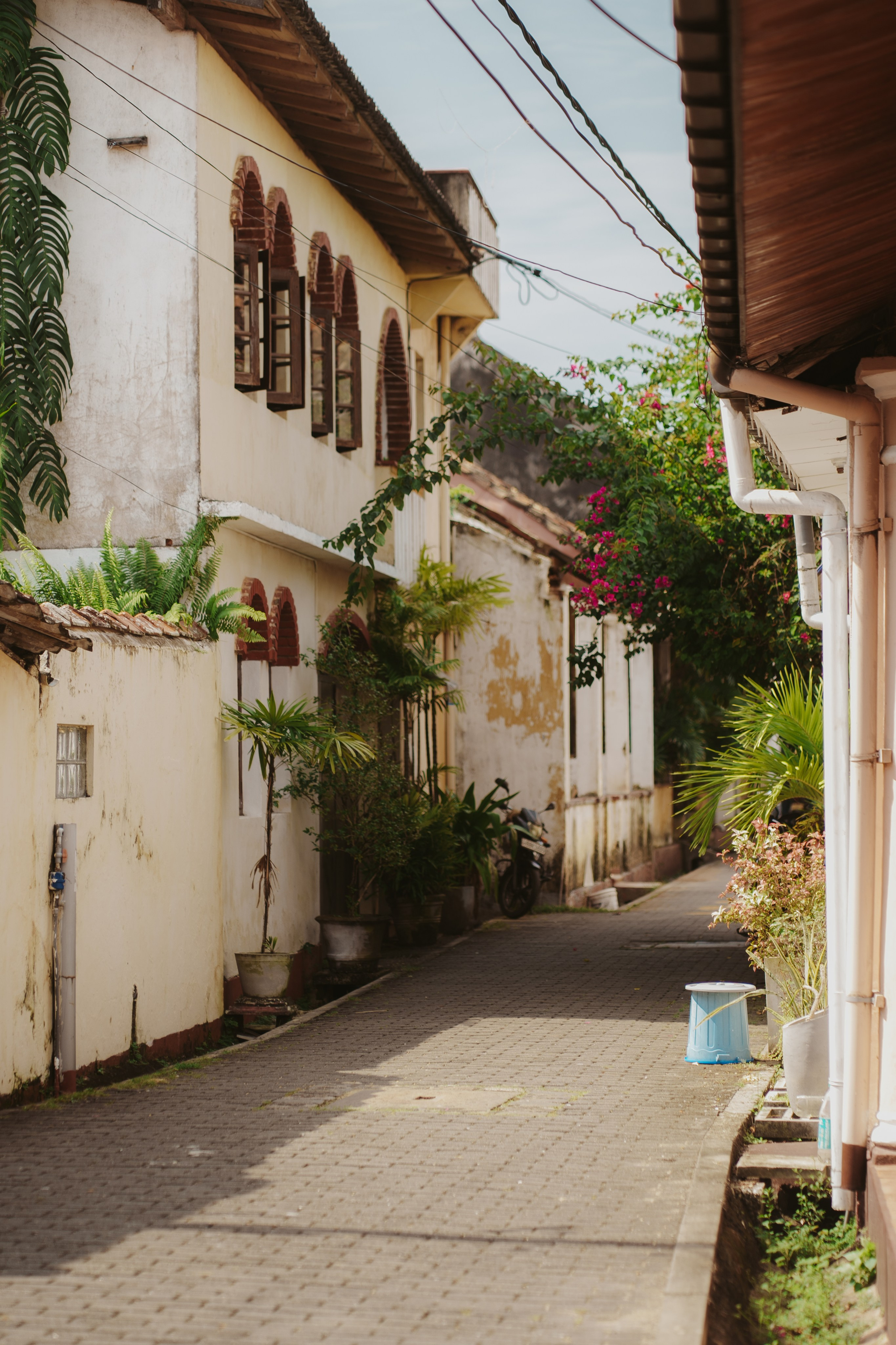 Серф-тур на Шри-Ланку: 12 дней у океана