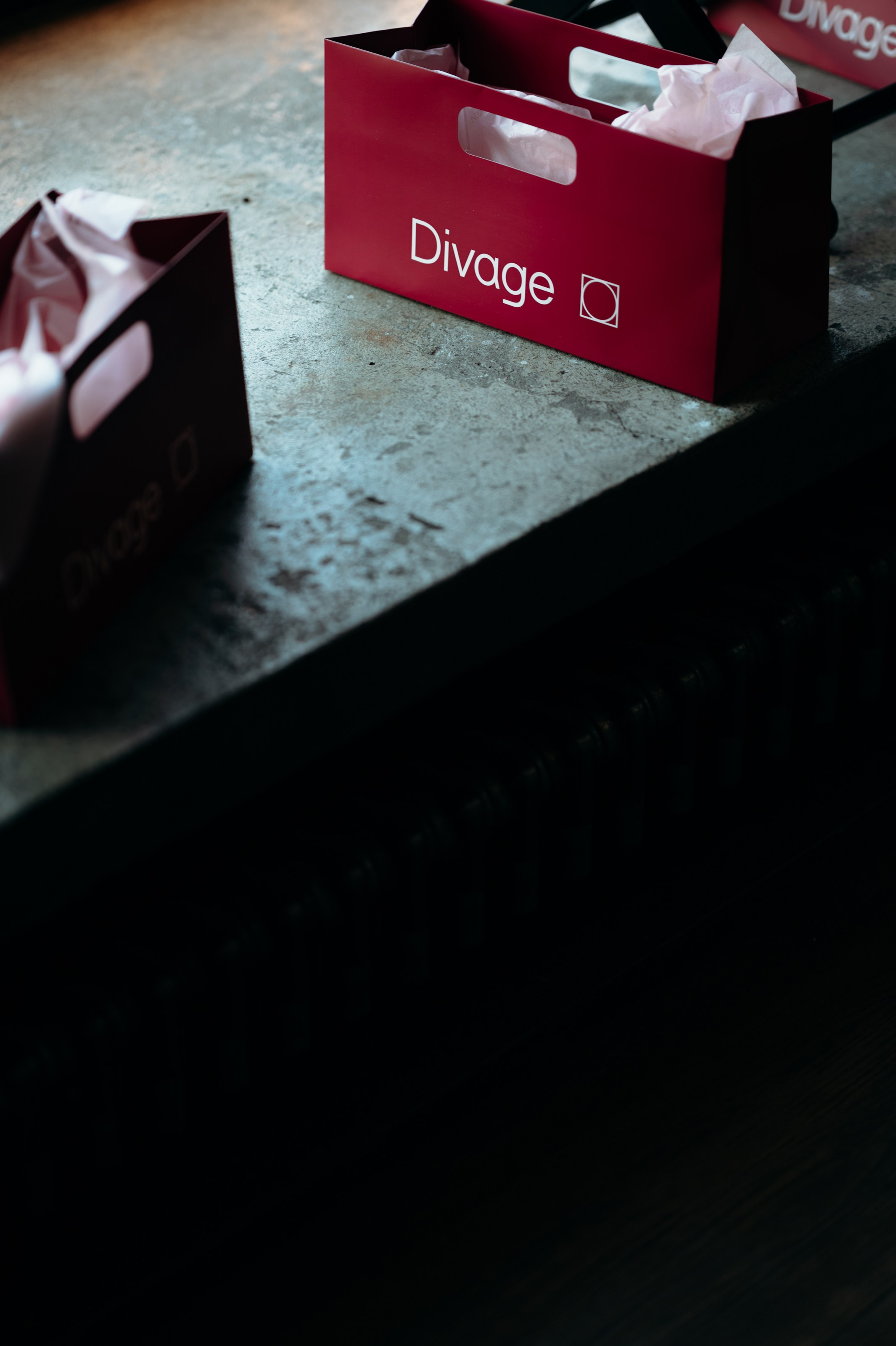 DIVAGE x LETH. Фотограф Элина Брусенцева