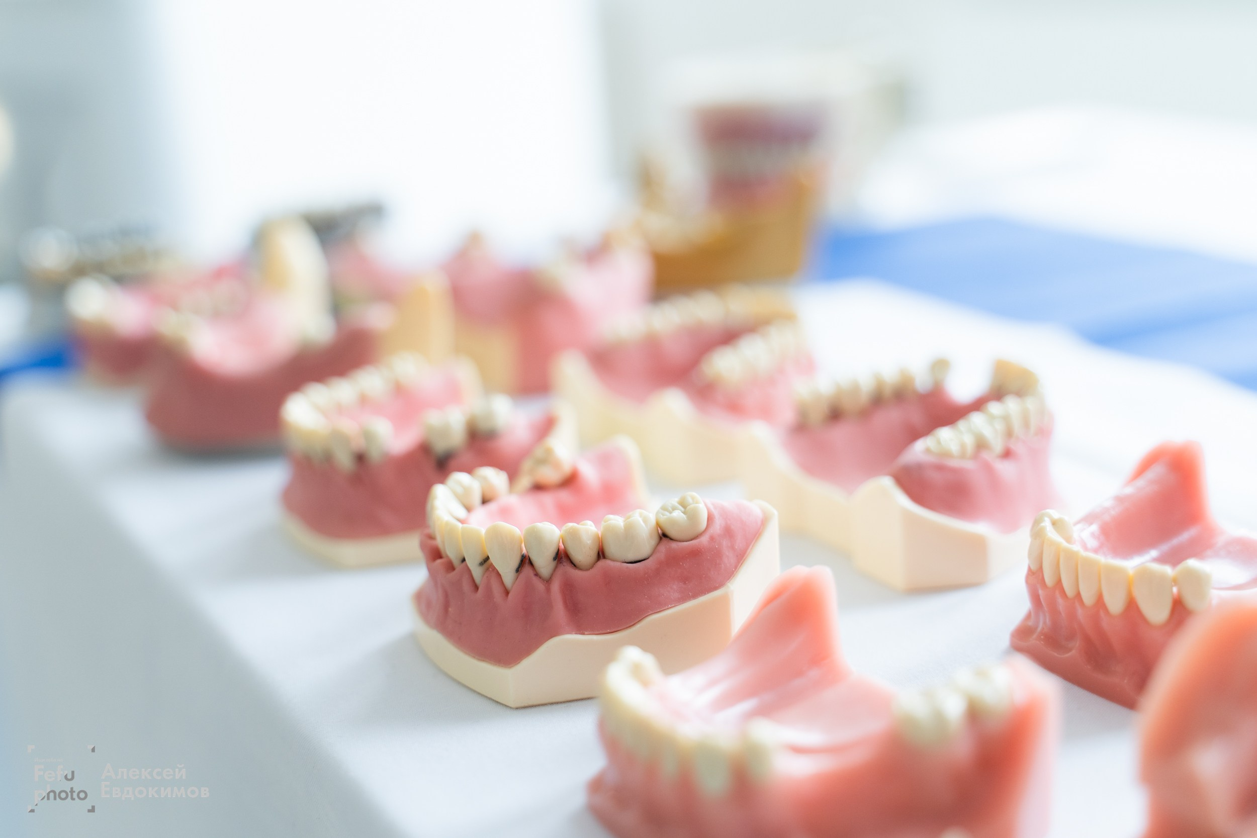 Репортаж. Алексей Евдокимов — Фотограф во Владивостоке