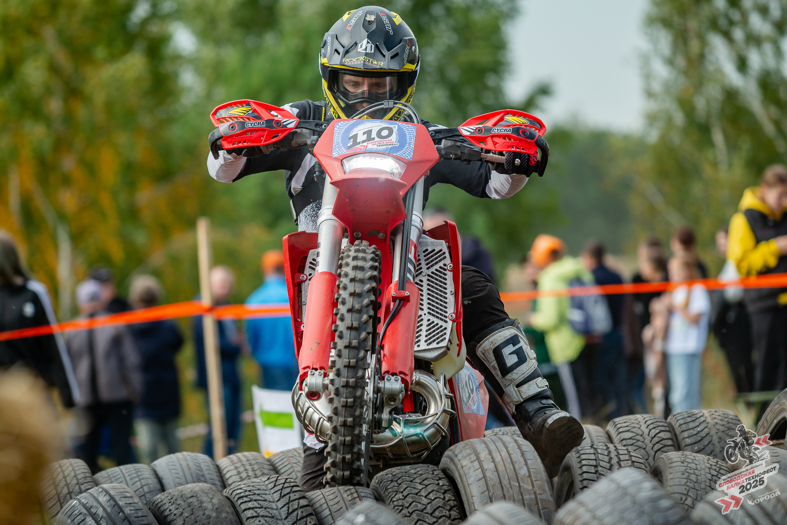 Слободская балка 2025. Фотограф | Макс Борода