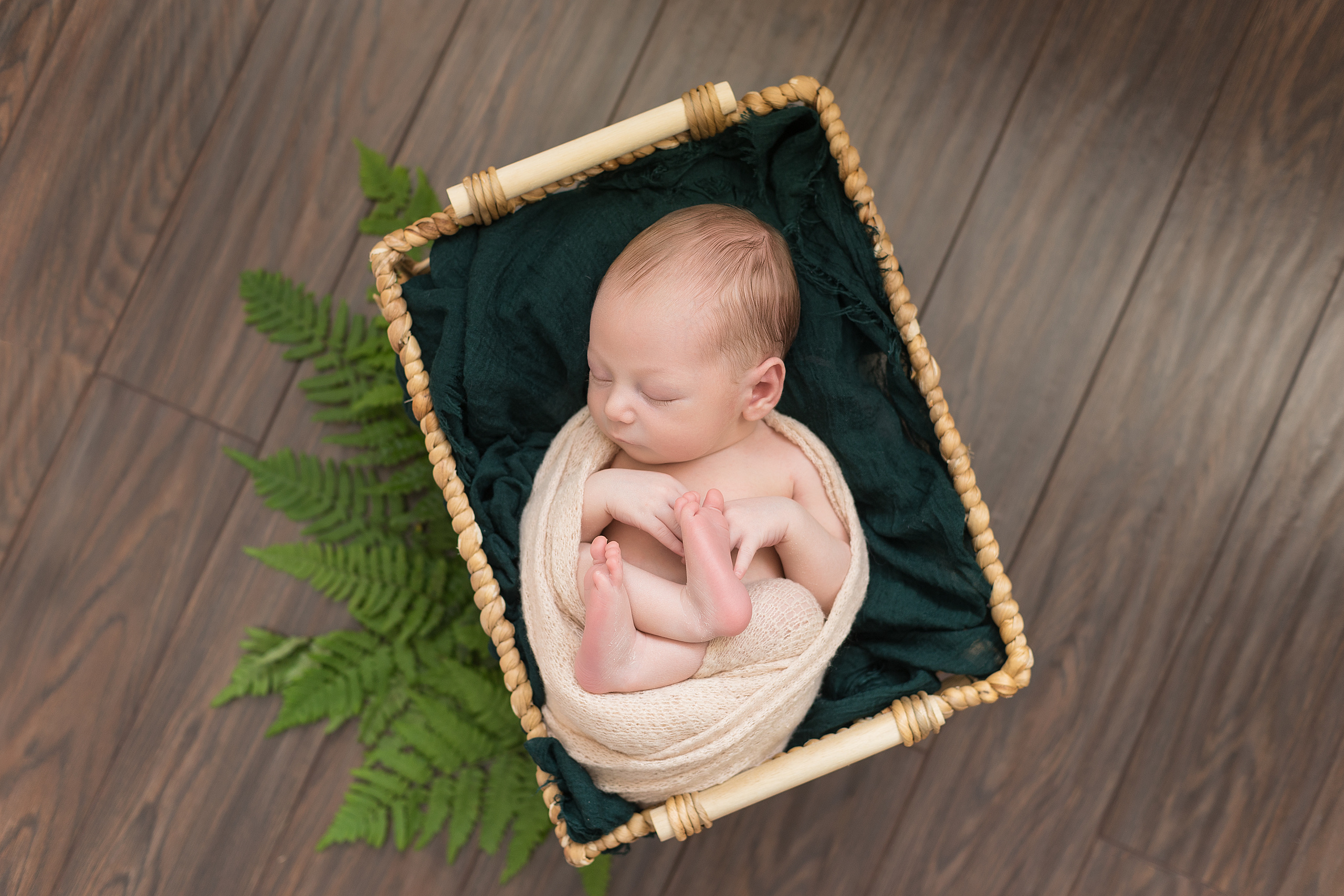 Новорожденные. Фотограф в Новосибирске