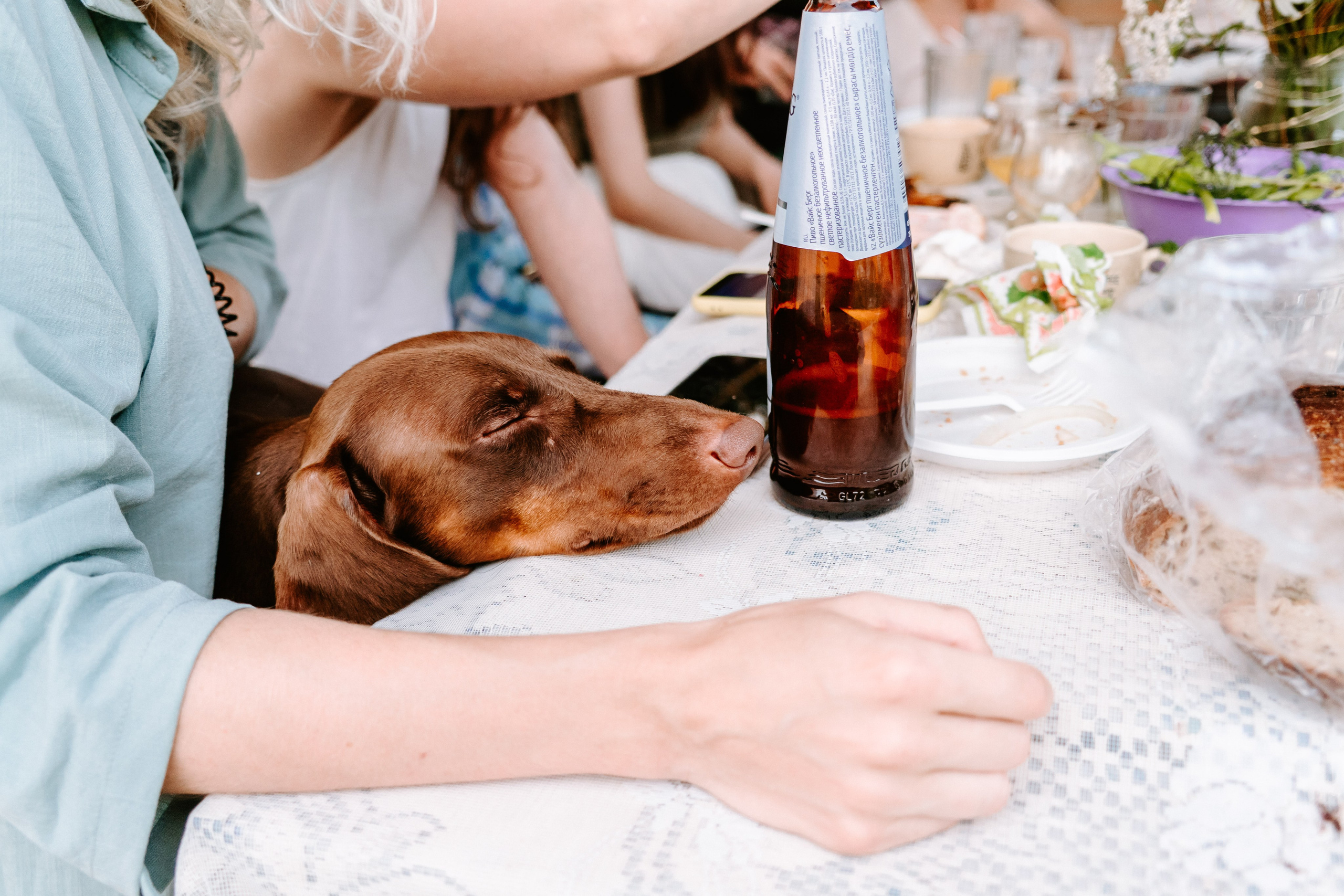 Свадебная фотосессия для Дарии и Алексея, 2022 год. Портретный фотограф в Томске Наташа Барова