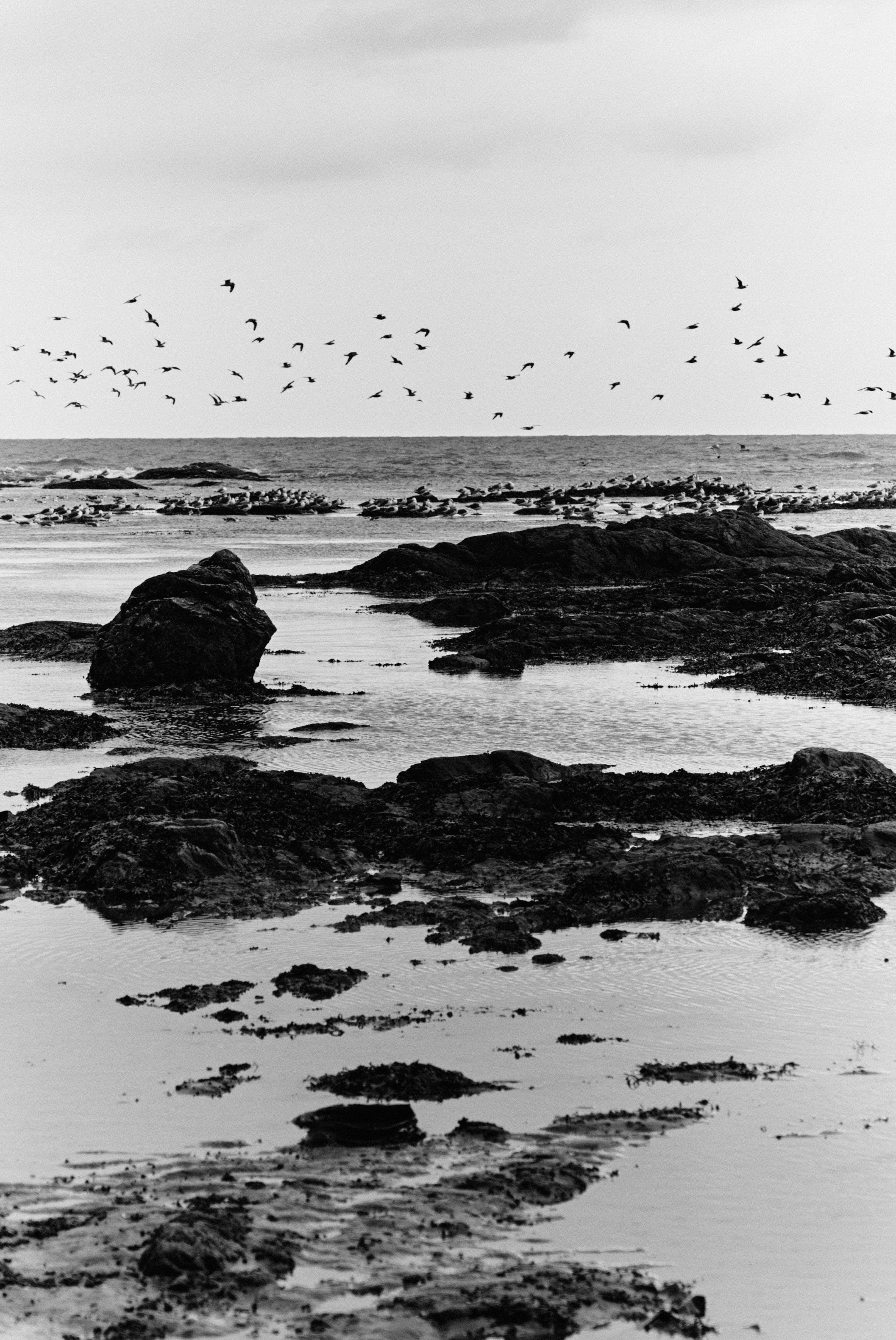 BAON x SAKHALIN. Фотограф Сурков Никита