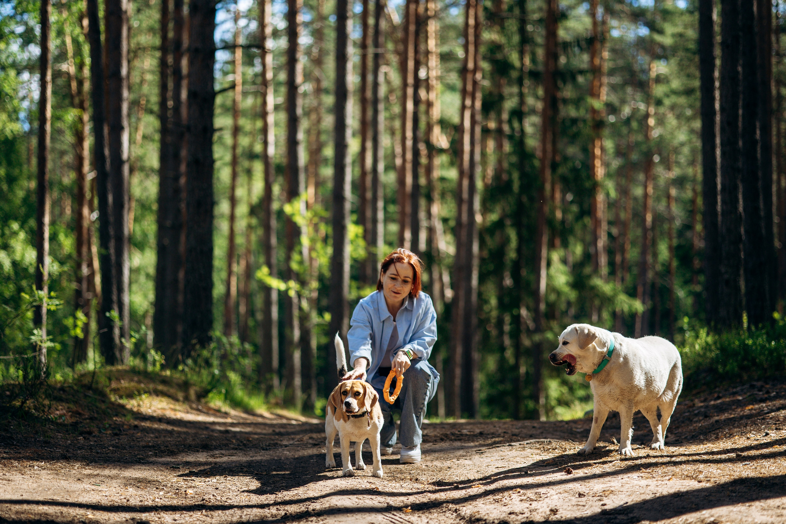 Котофеи и их семья. Фотограф — Анималист | Санкт-Петербург