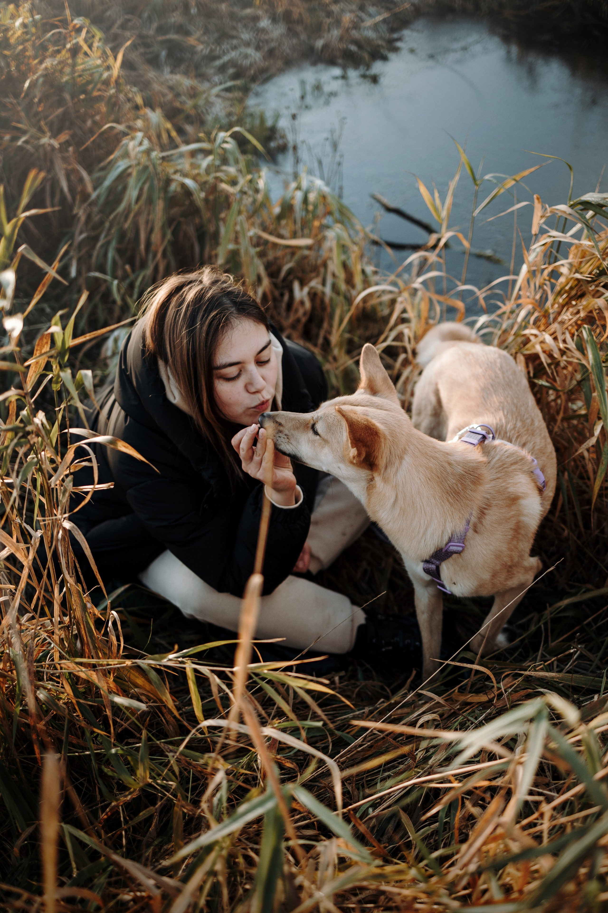 Юля и Джесси. Фотограф — Анималист | Санкт-Петербург