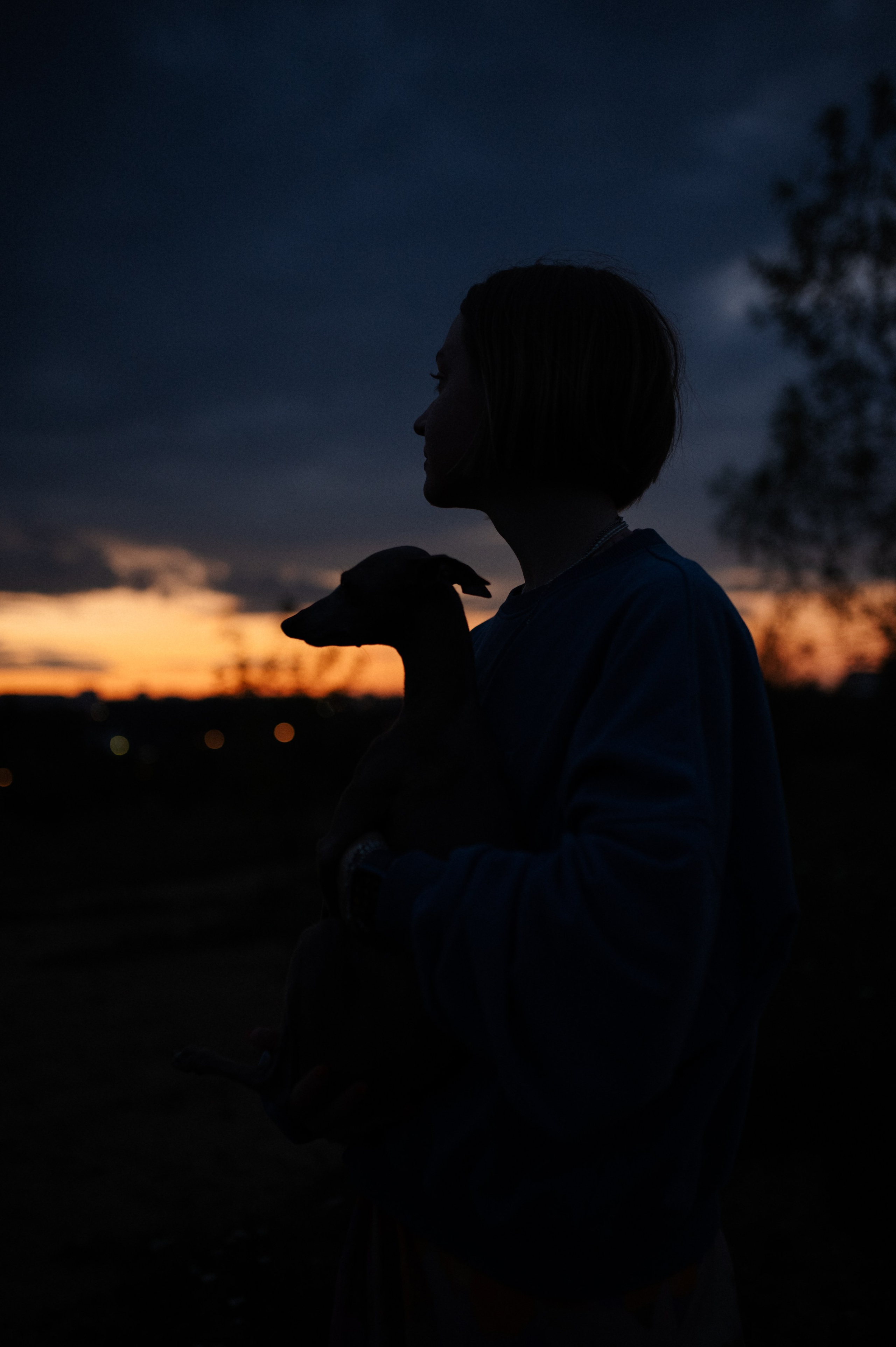 Хвост, смех и лучшие подруги. Фотограф анималист в Москве Ольга Агушева