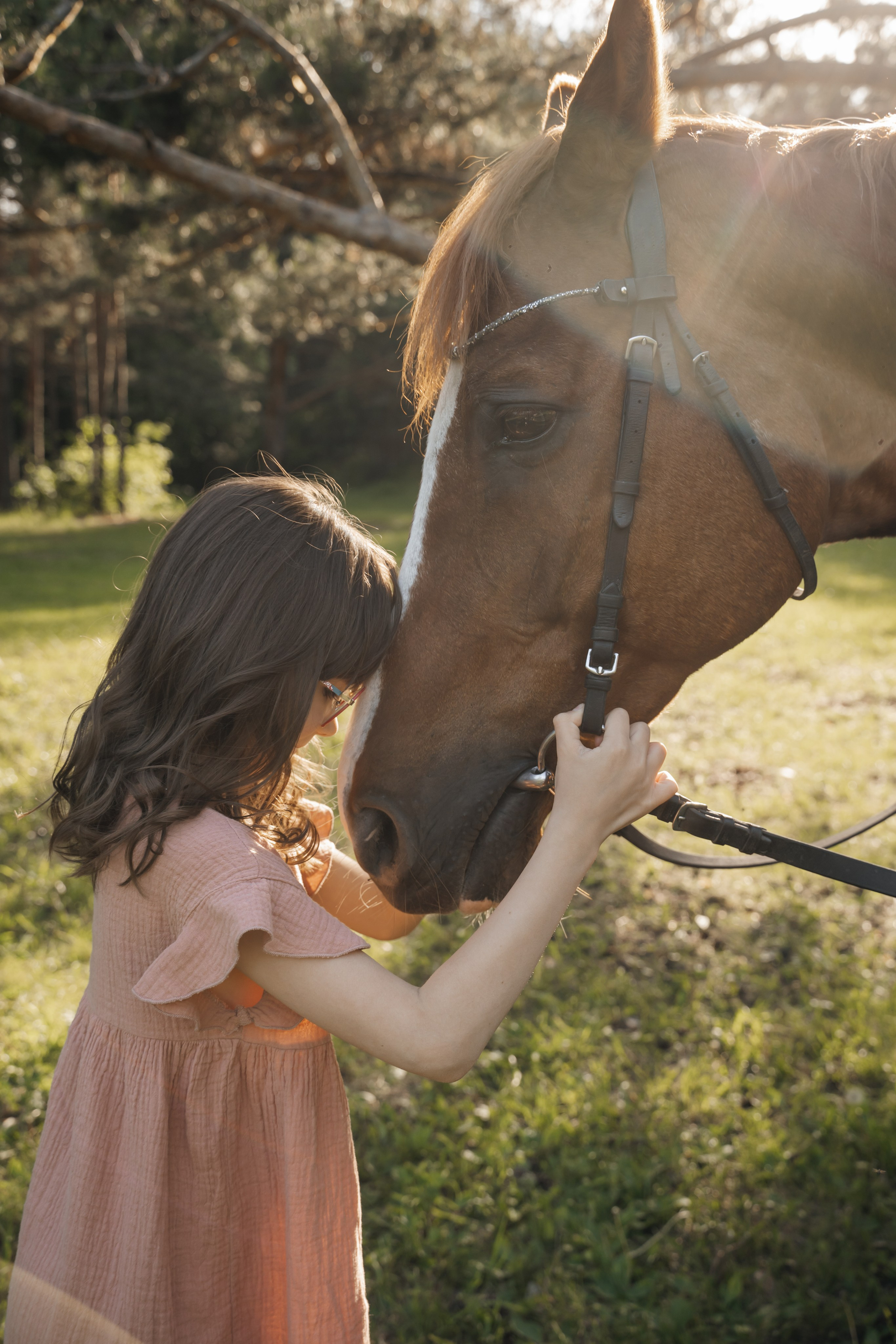 Семейная история с лошадьми. Главная