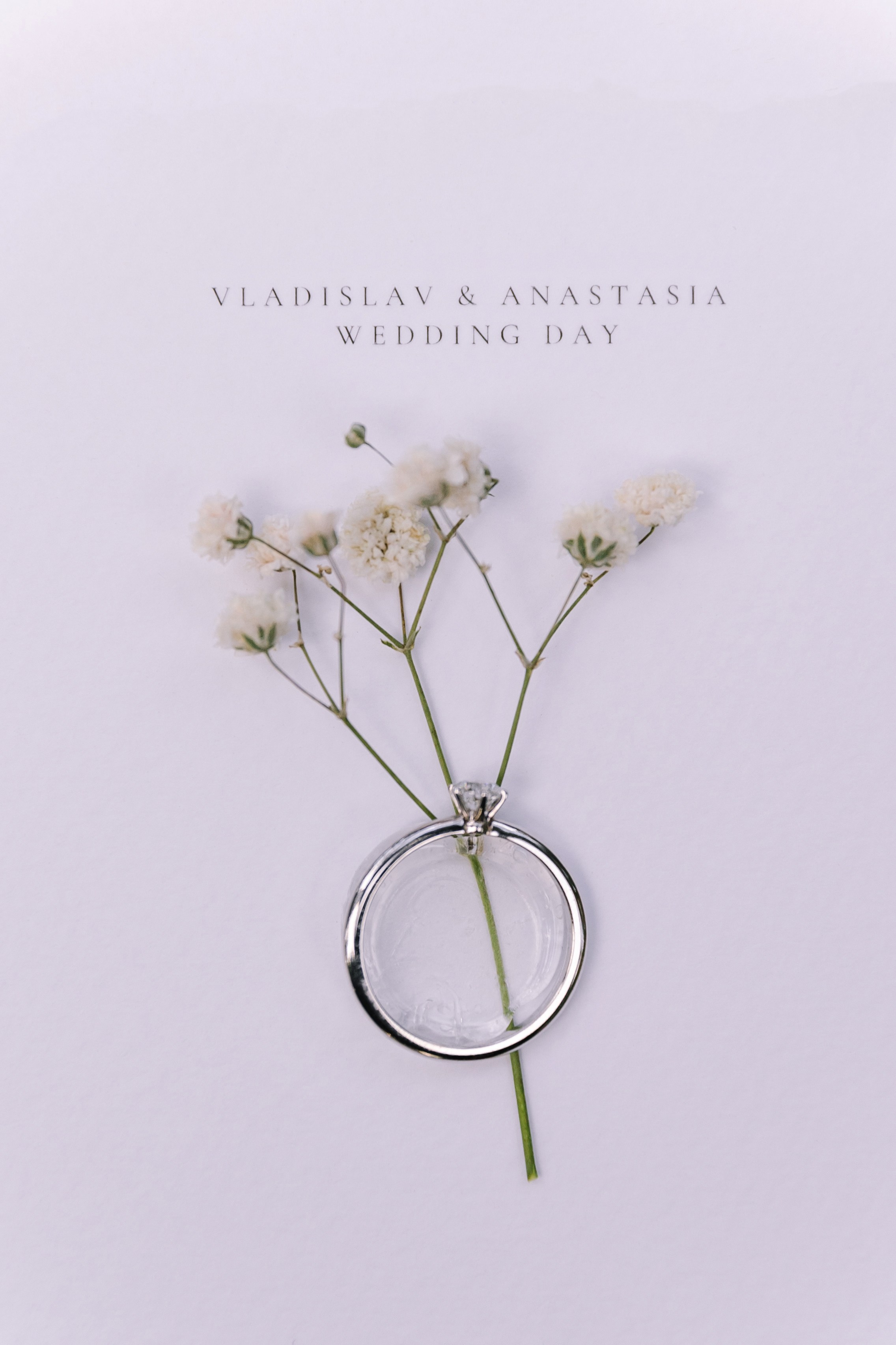 Фотограф Елена Краснопевцева