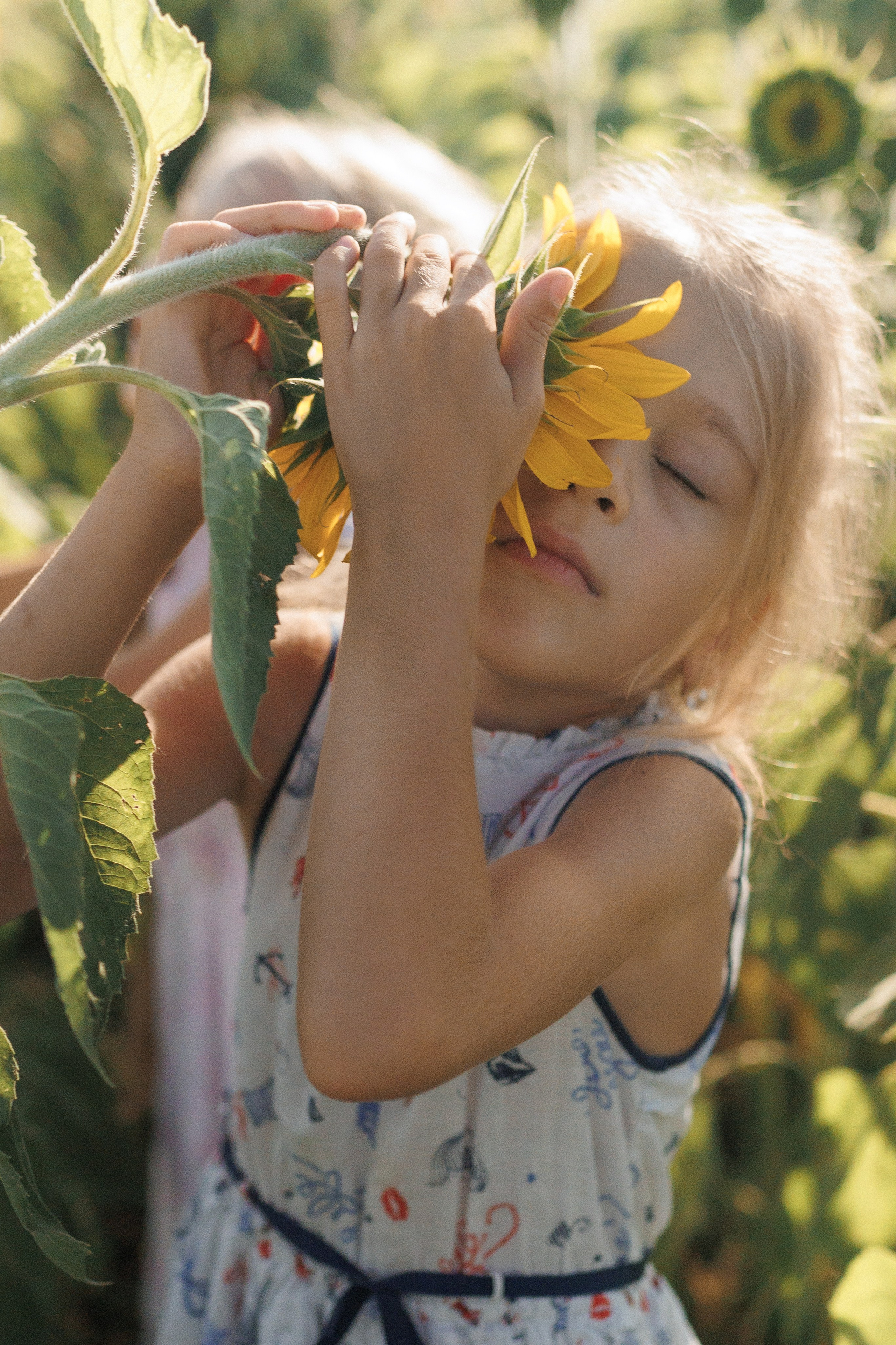 Дети и подсолнухи. Семейный фотограф lifestyle в Новосибирске Елена Шпилевая