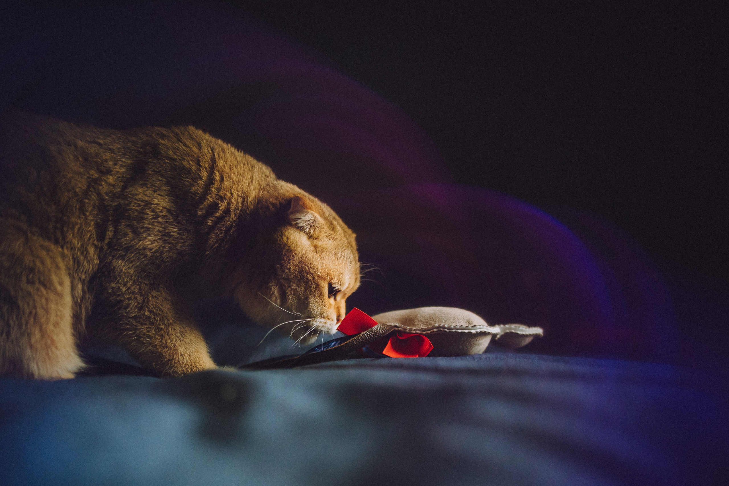 Генри и его семья