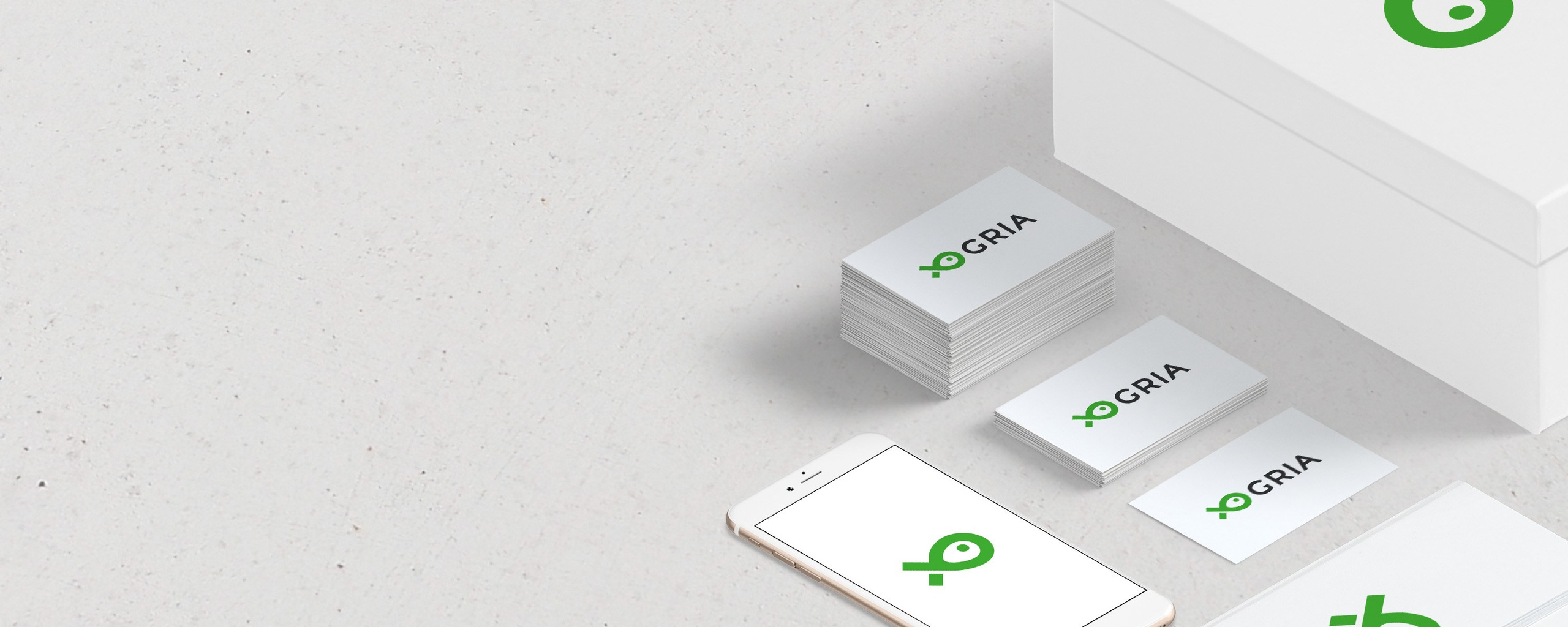 Разработка логотипа интернет-магазина Gria. Графический дизайнер Анкин Павел