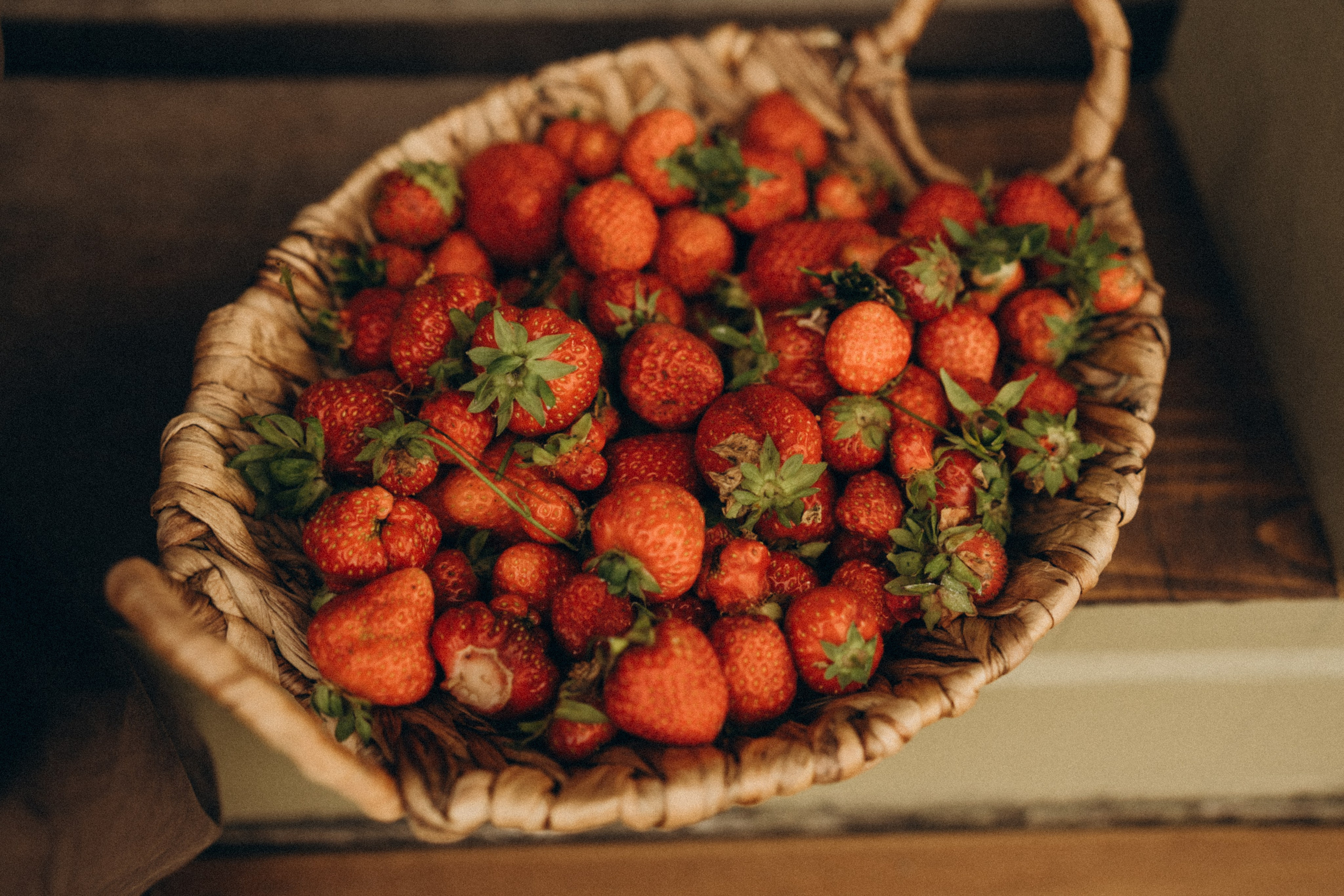 Про домашний уют на севера. Семейный фотограф в Мурманске Екатерина Юшкова