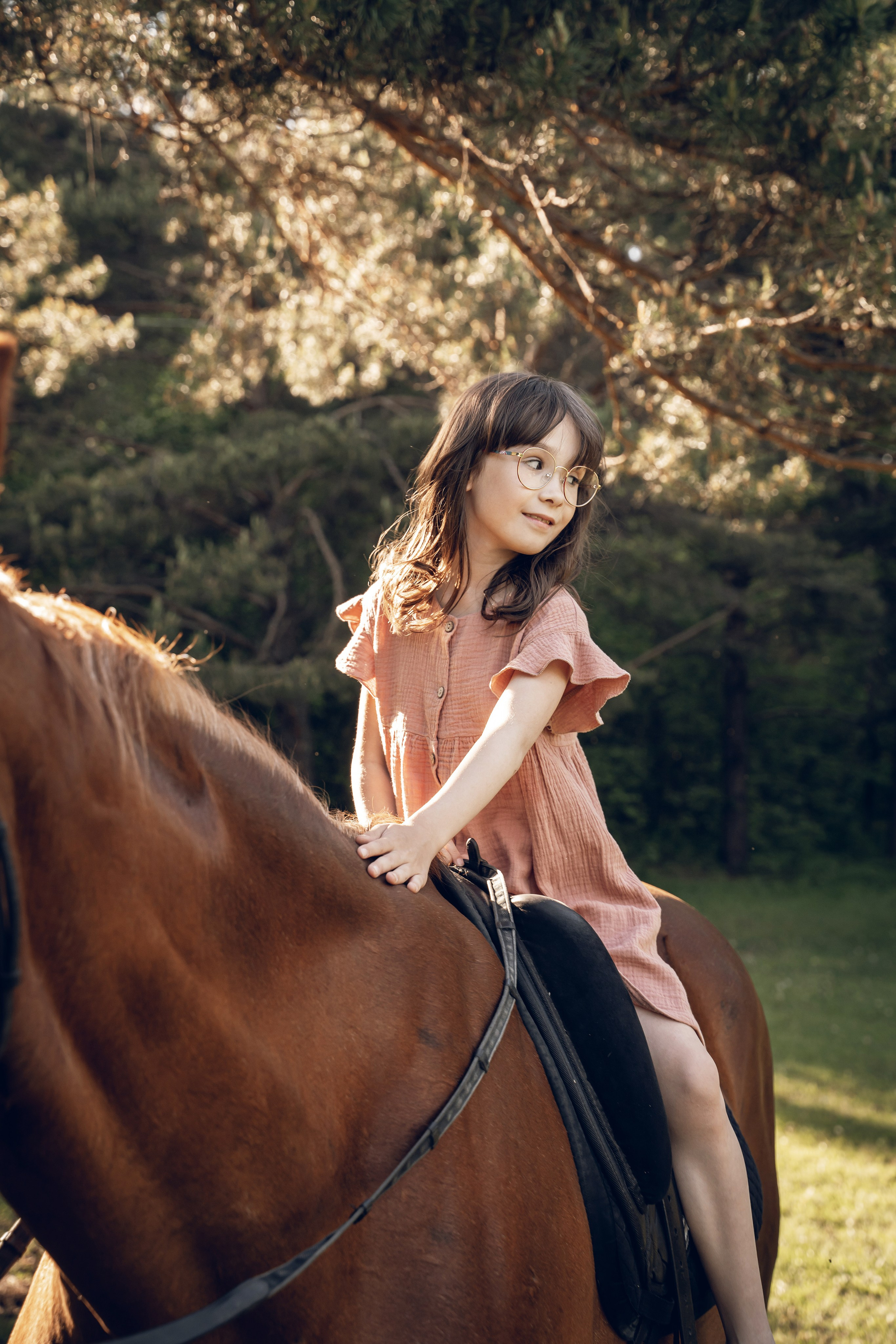 Семейная история с лошадьми. Главная