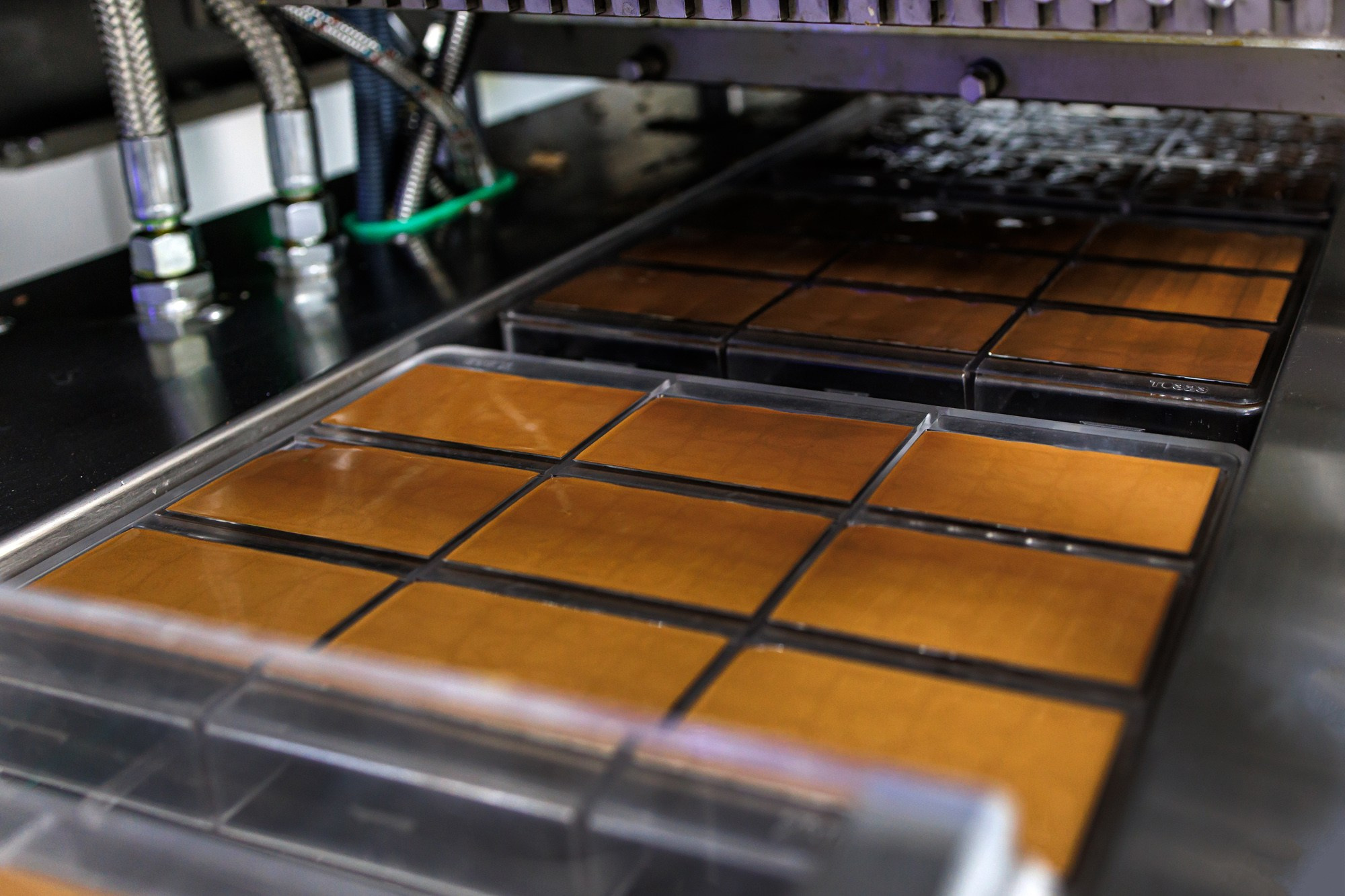 Nature's own factory. Photographer Ksenia Kolesnikova. Interior, Product, and Portrait Photography in Moscow